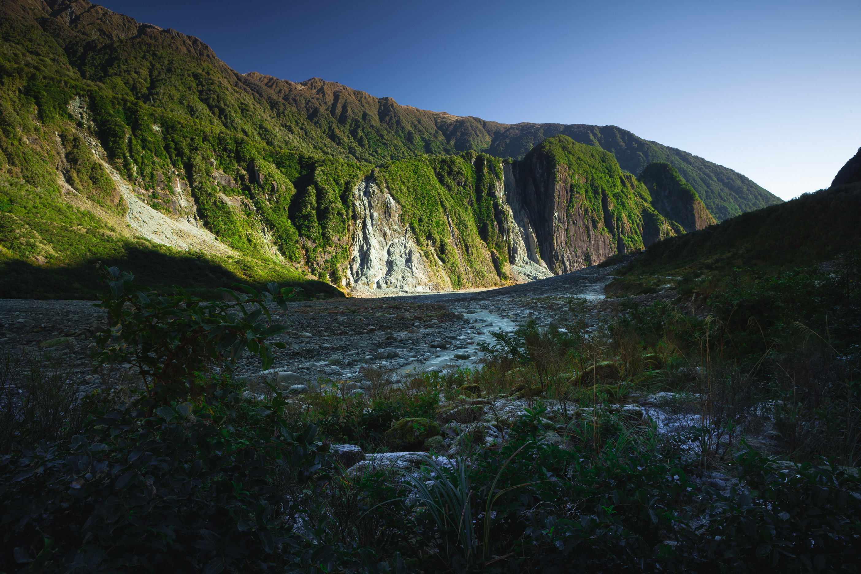 czech kiwis, s.r.o. foto 6