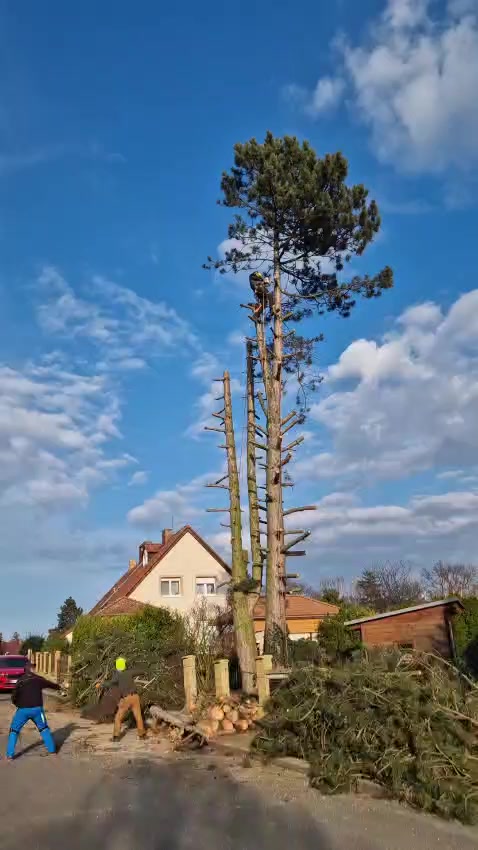 Kiru foto 2 (náhled videa)