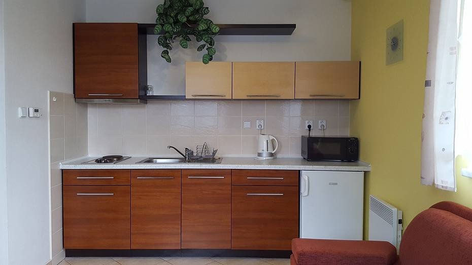 Apartmán Borová Lada foto 2