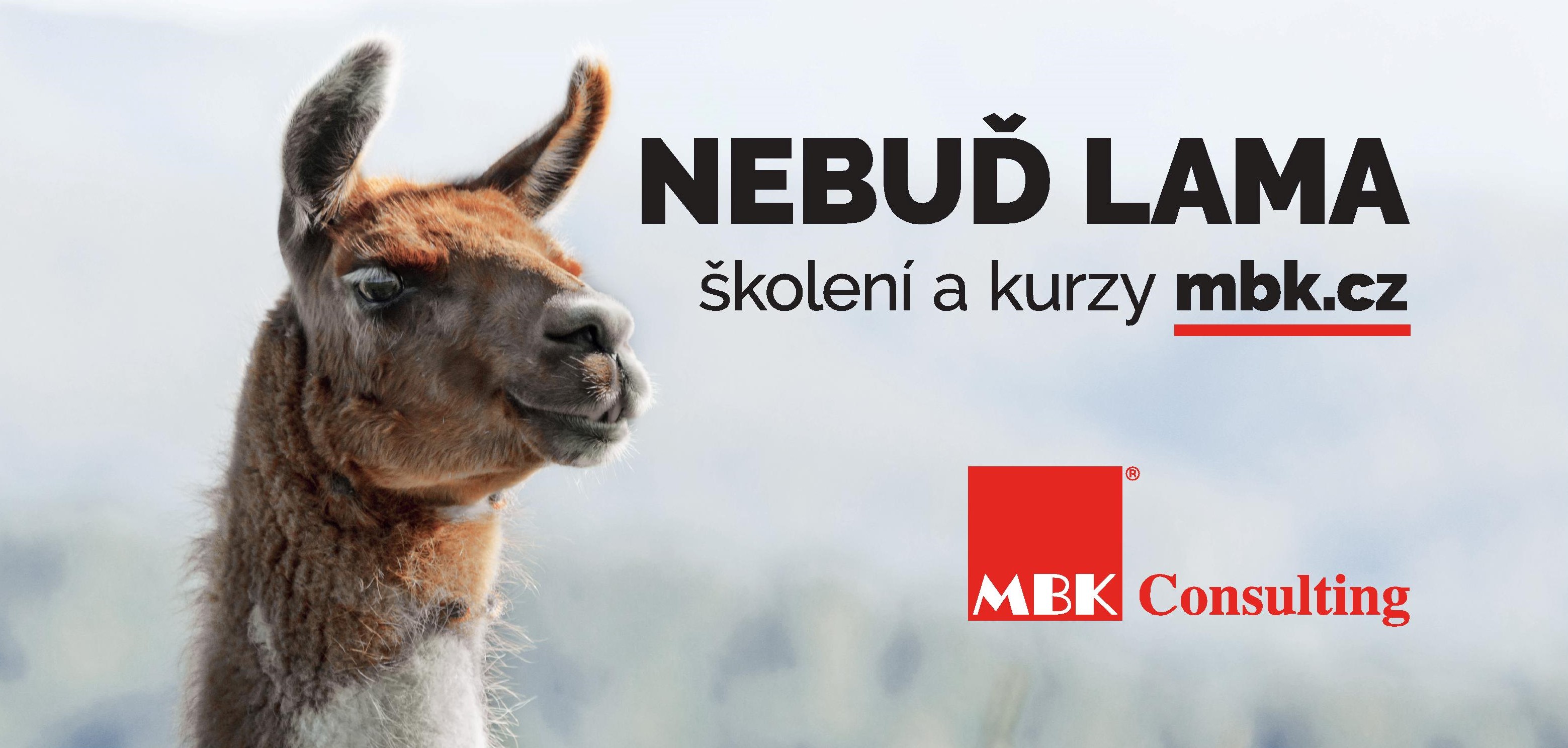 MBK Consulting - školení a kurzy foto 6