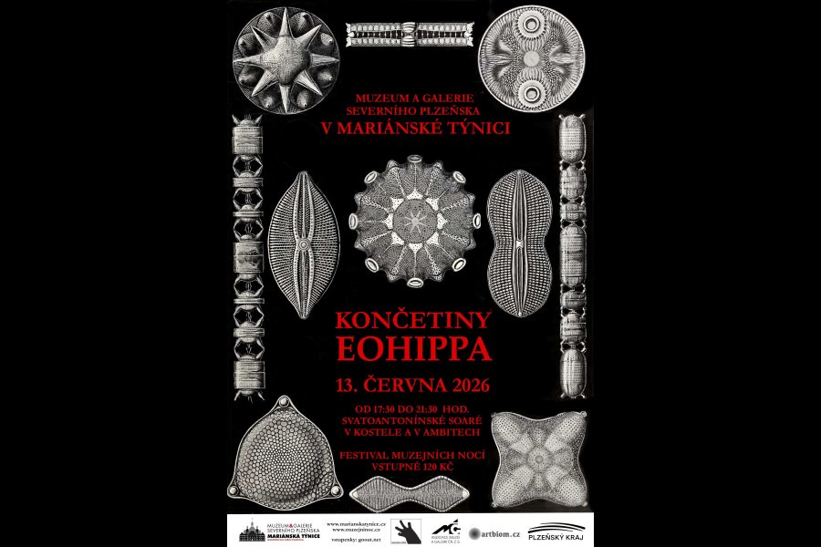 Festival muzejních nocí: KONČETINY EOHIPPA