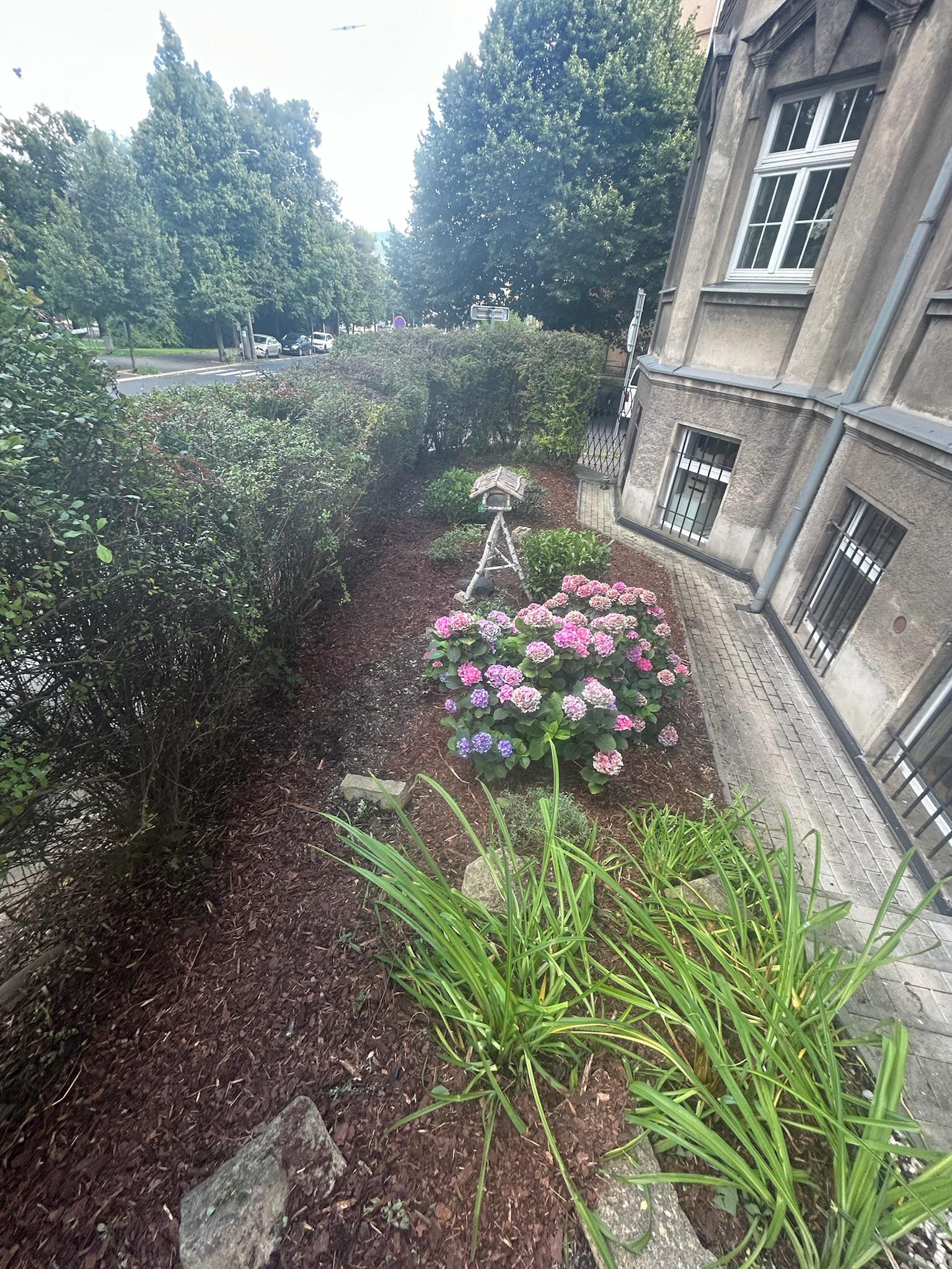 VERBORA – Péče o stromy a reprezentativní zeleň foto 2