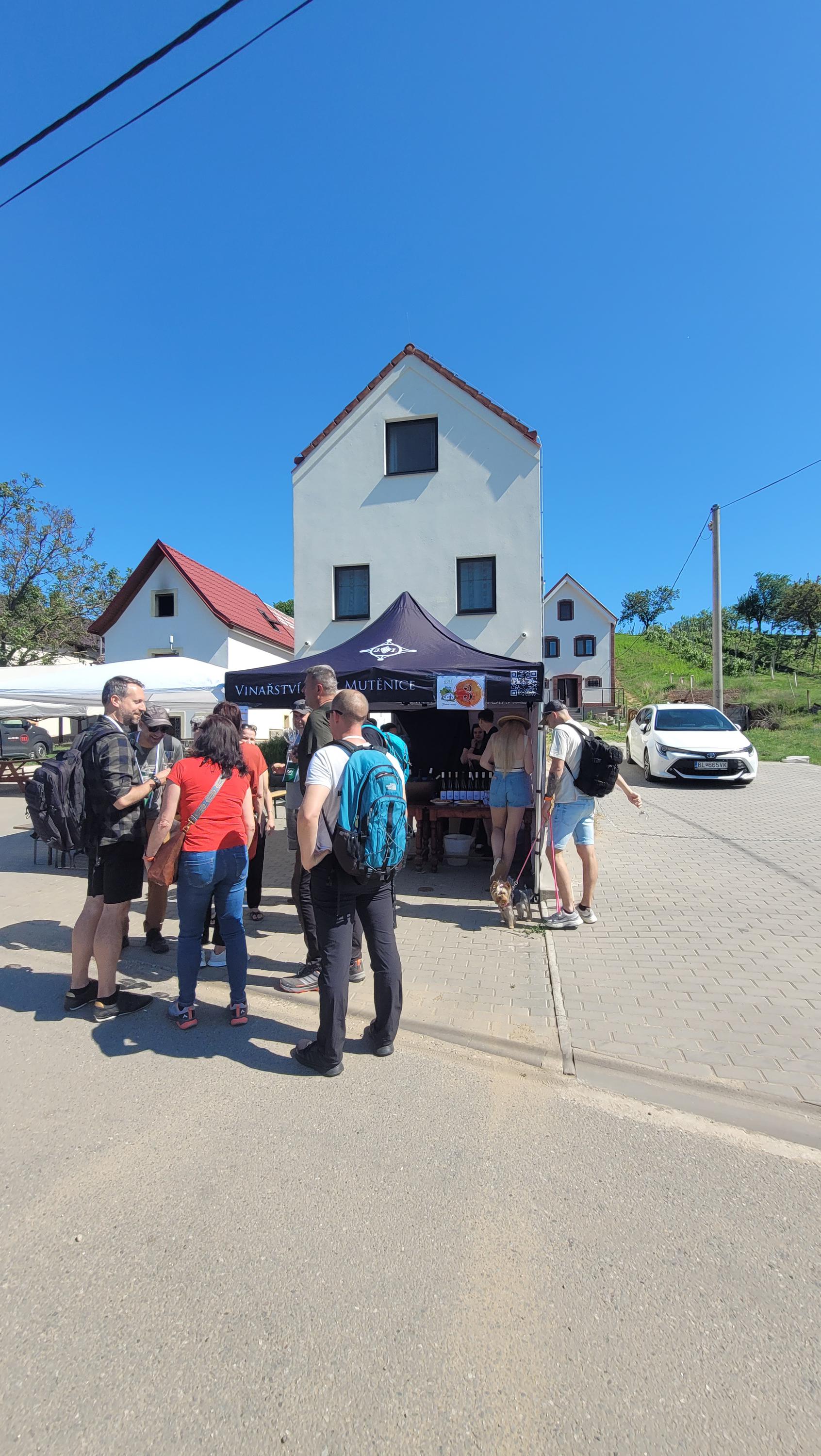 Vinařství Ilčík Mutěnice, s.r.o. foto 3