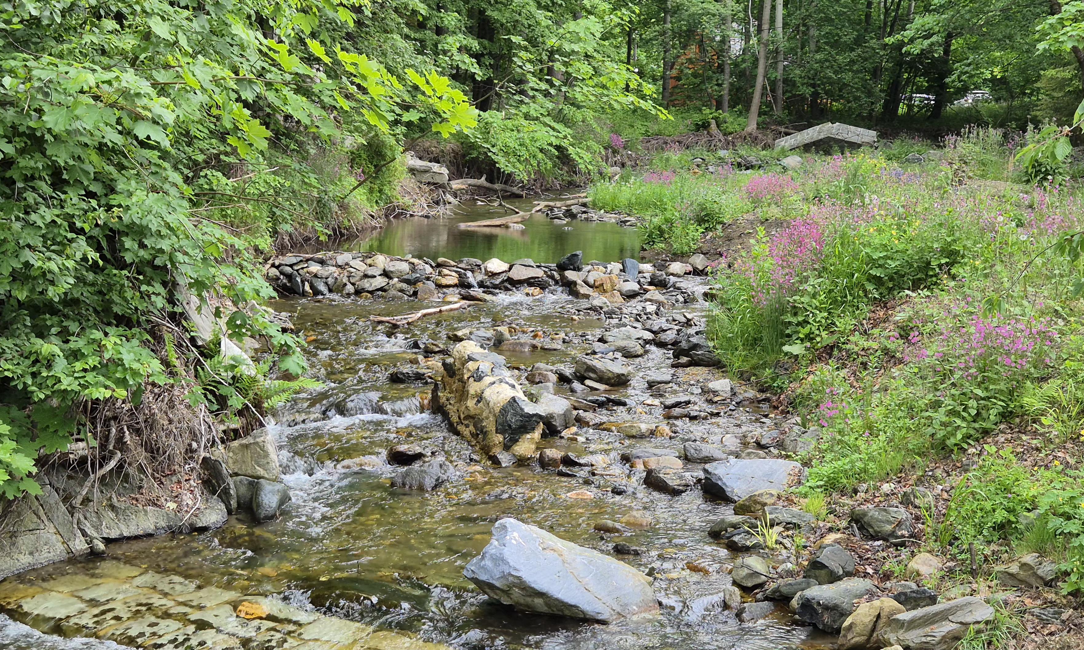 Střelnice Adolfovice foto 3