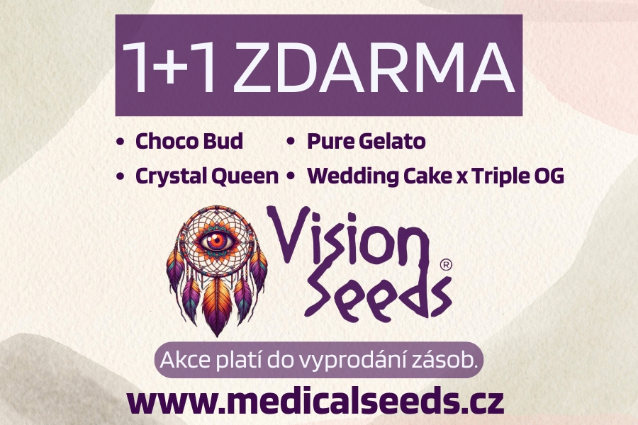 1+1 ZDARMA