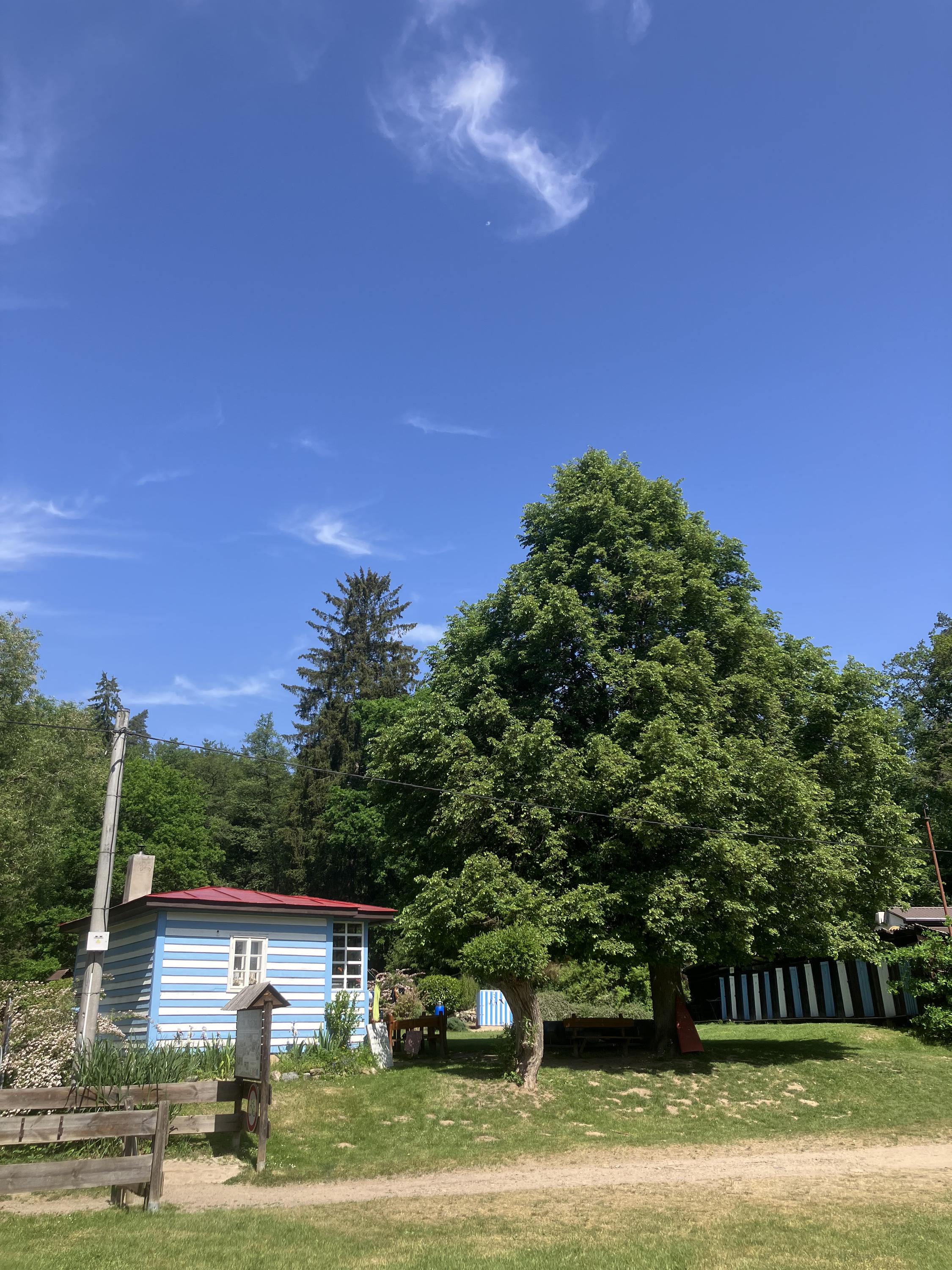 Plovárna Senohraby foto 3