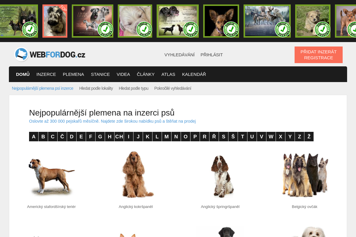 WEBFORDOG.cz