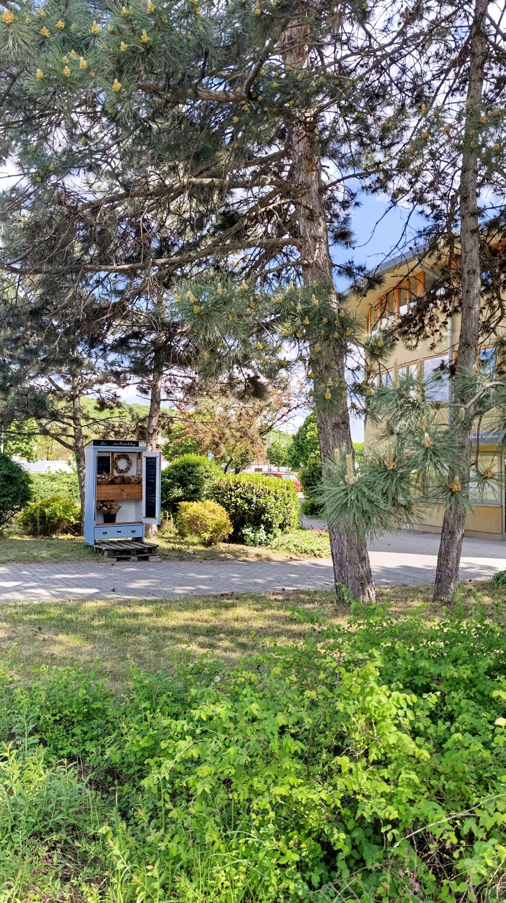 Květinový automat Ze zahrádky foto 1