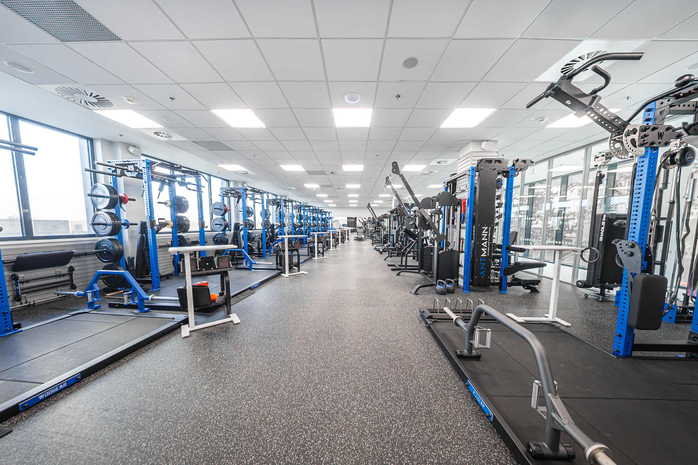 Antmann strength and conditioning foto 4