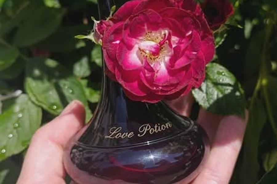 Parfémovaná voda Love Potion