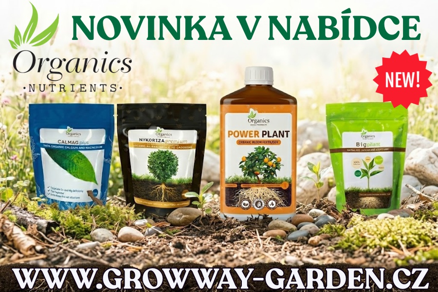 NOVINKA V NAŠÍ NABÍDCE