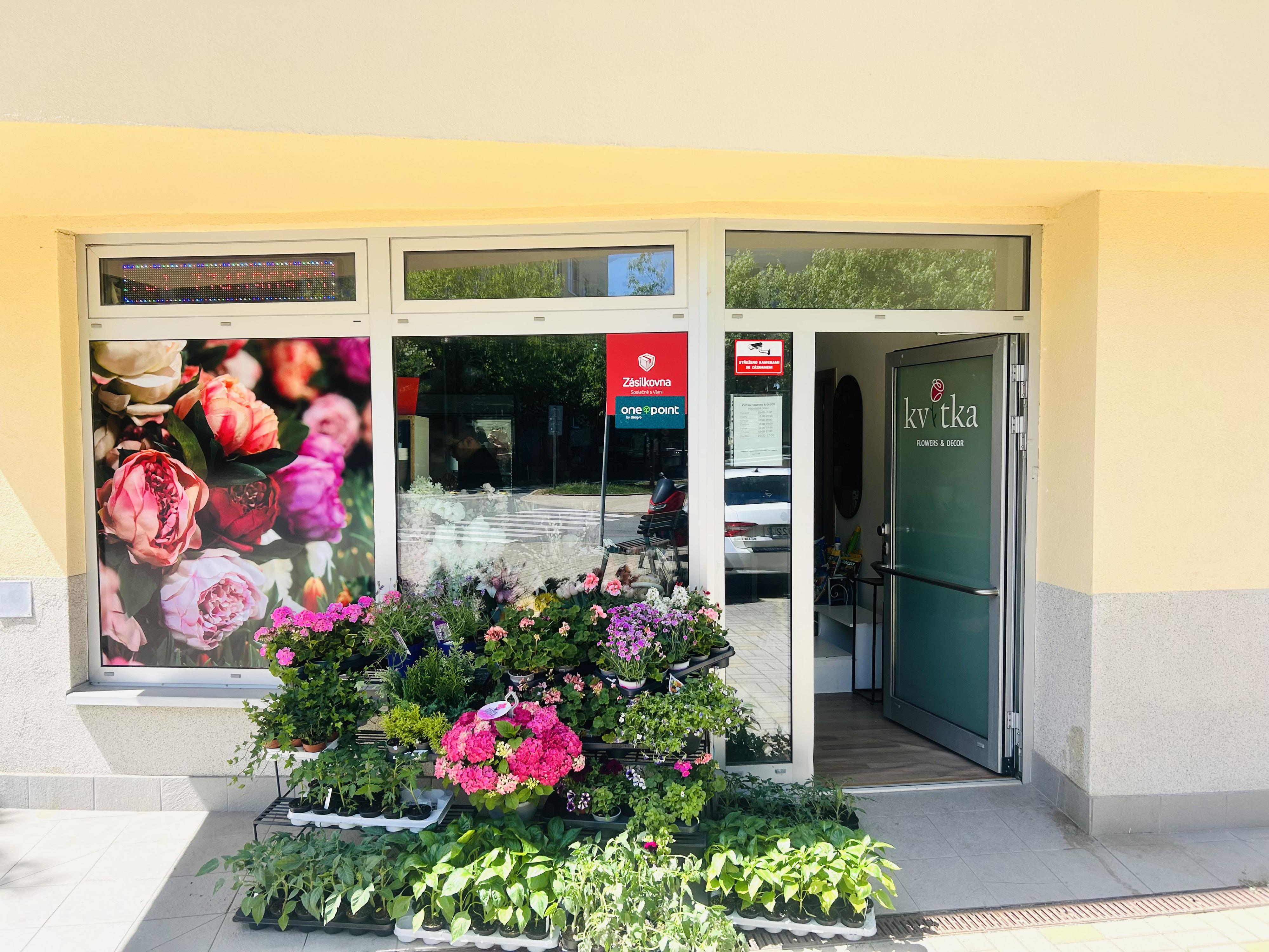 Kvítka flowers & decor