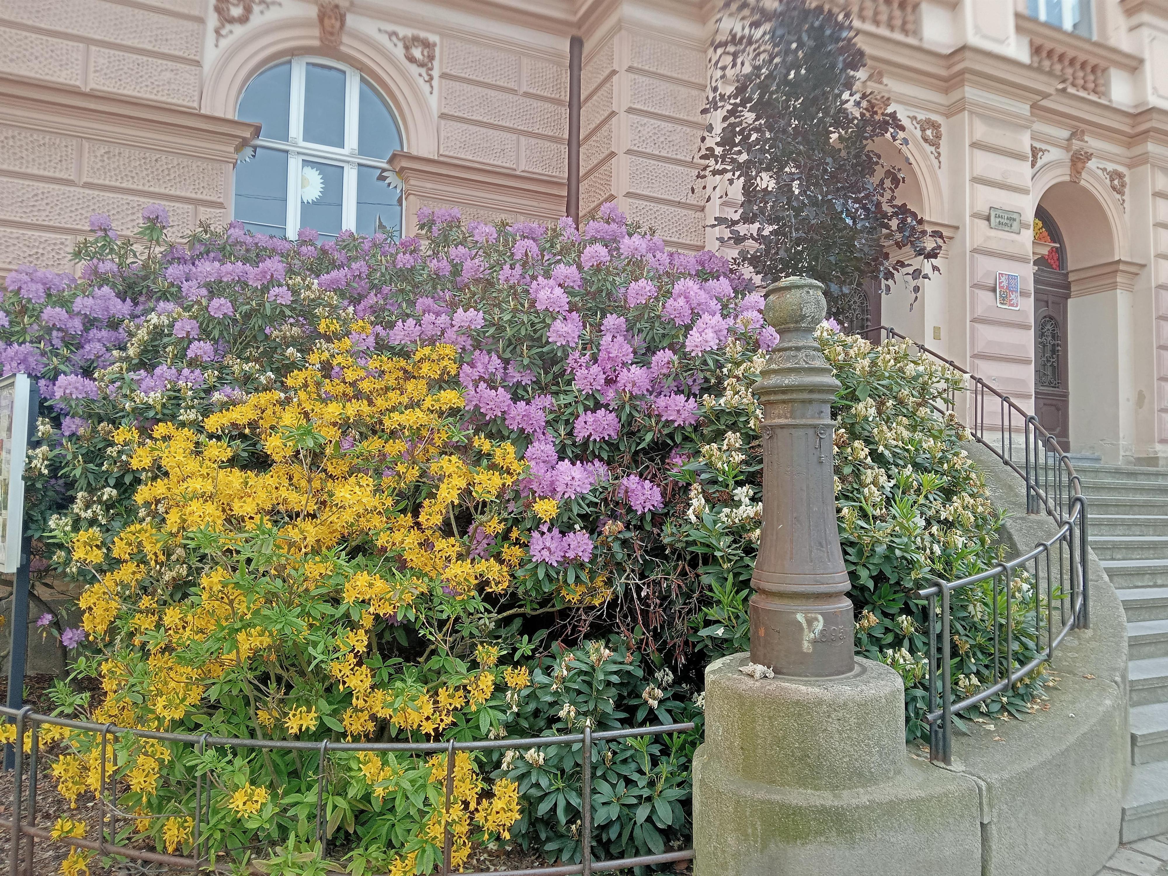 2. ZŠ Cheb foto 5