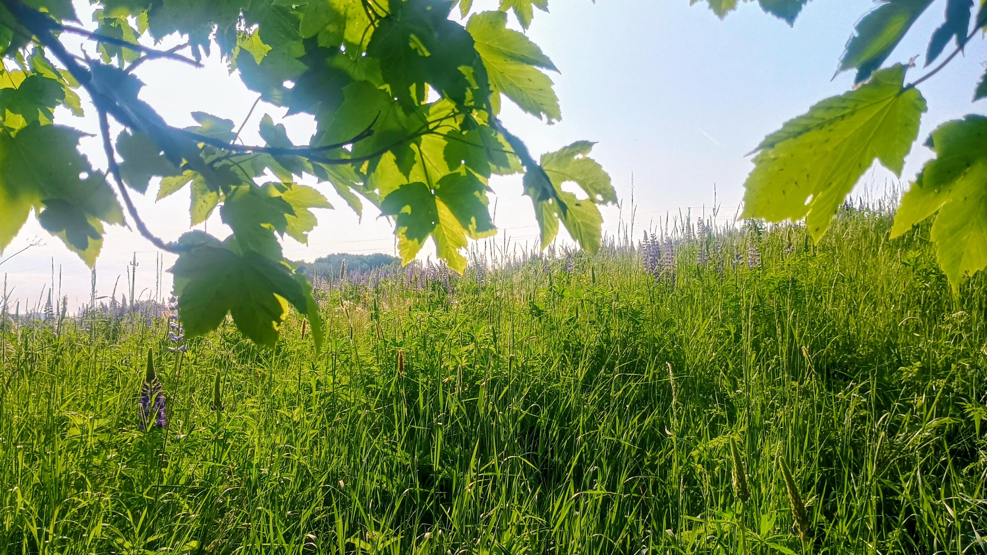 Údolí Volavek foto 5