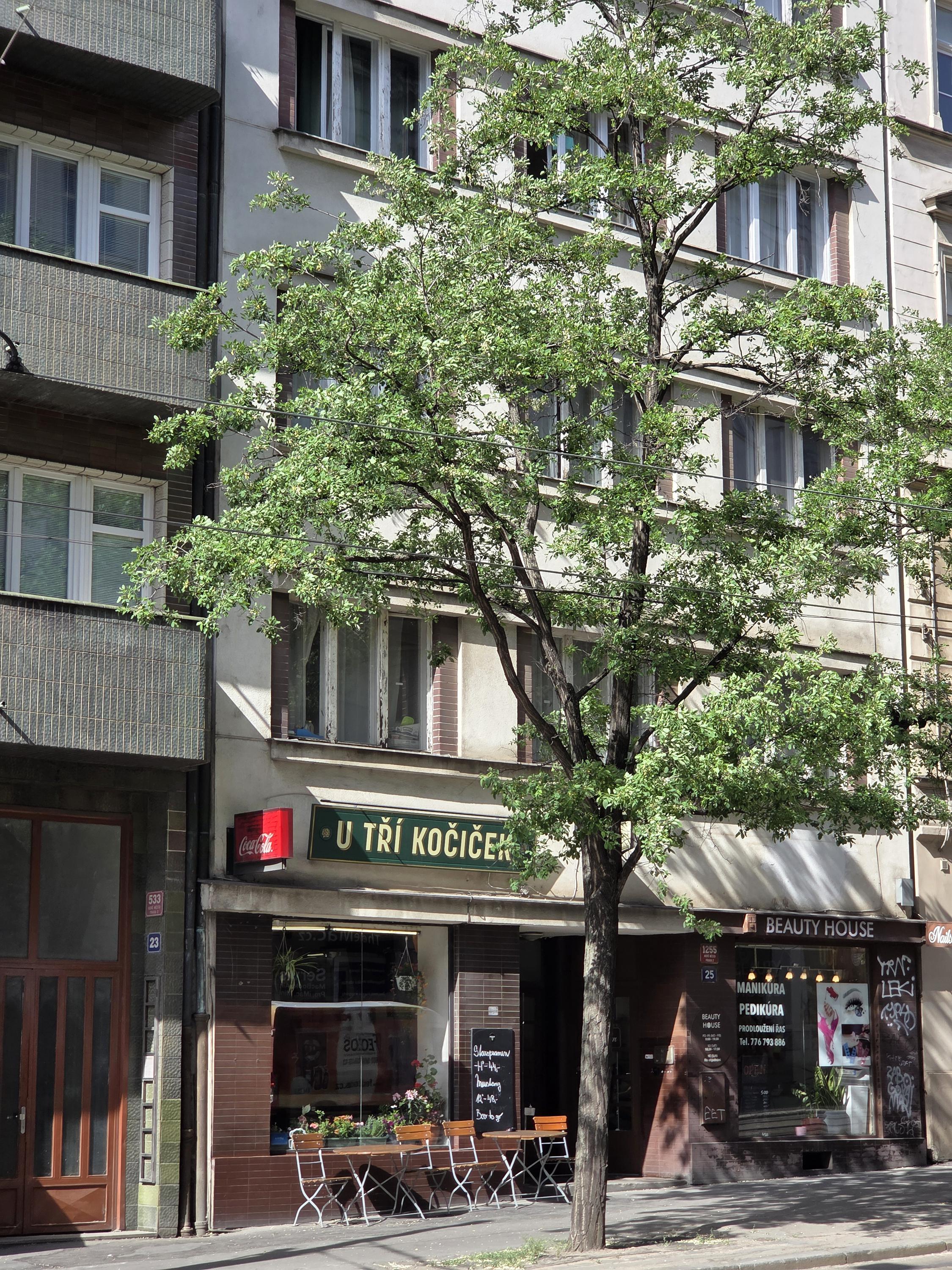 Bar U tří kočiček foto 3