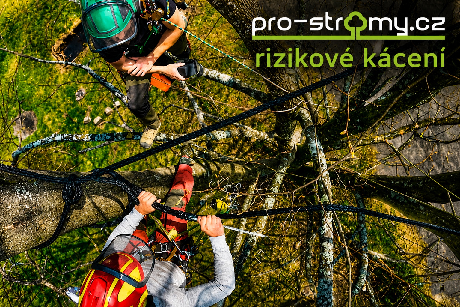 Kácení stromů!