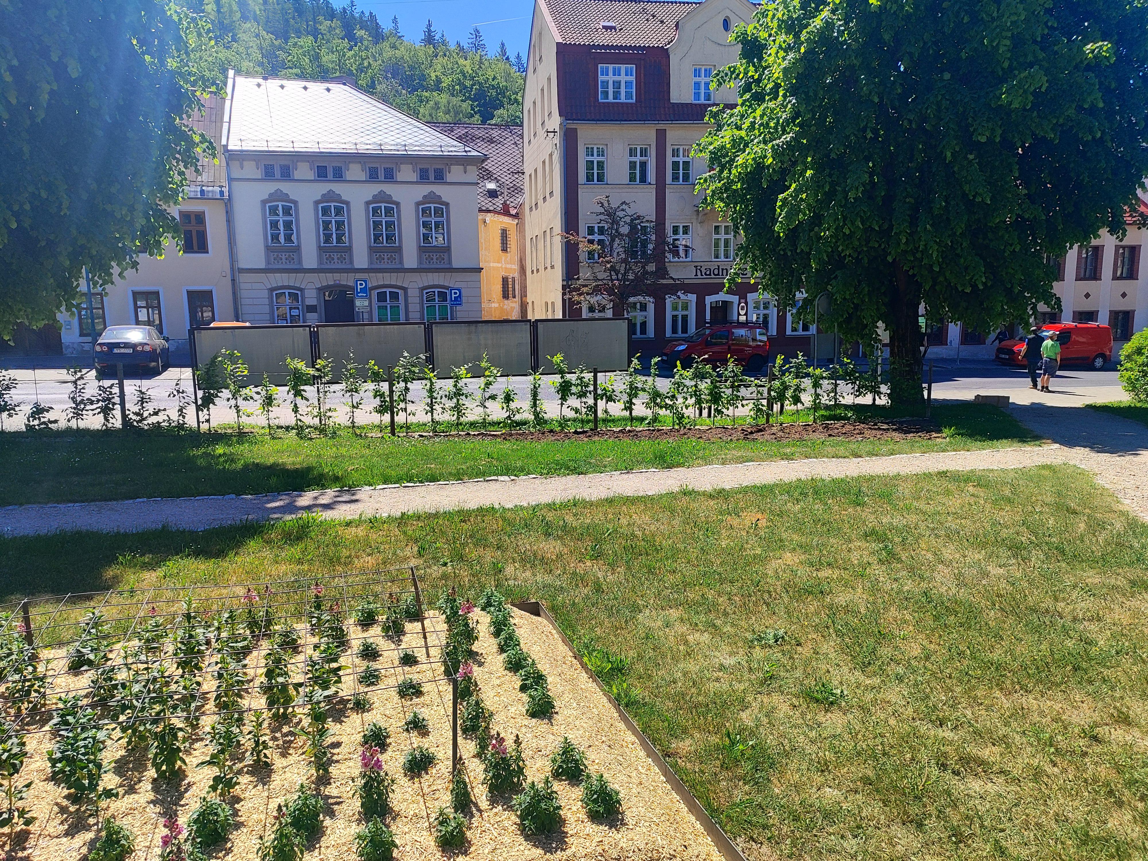 Nejdek - městský úřad foto 1