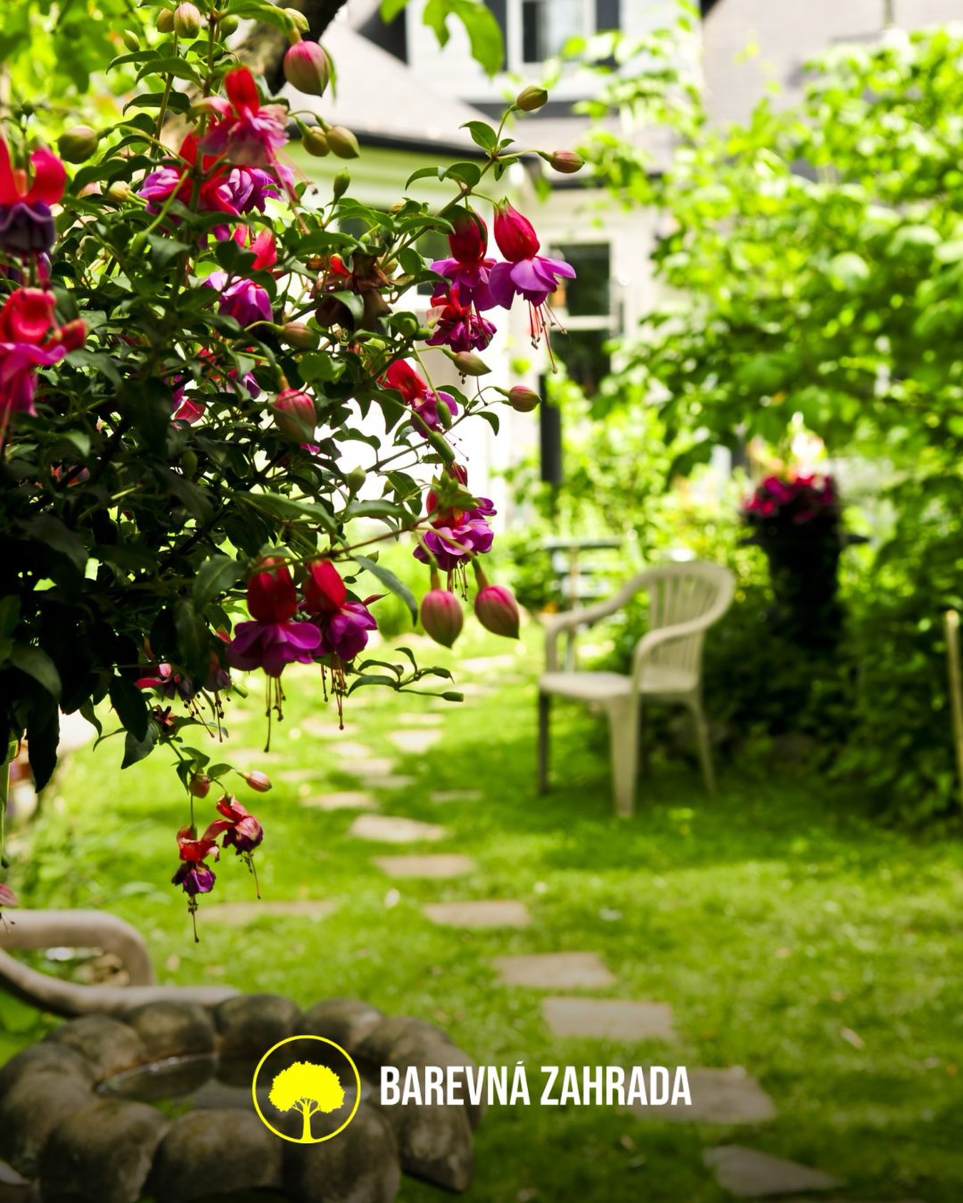 Barevná zahrada foto 6