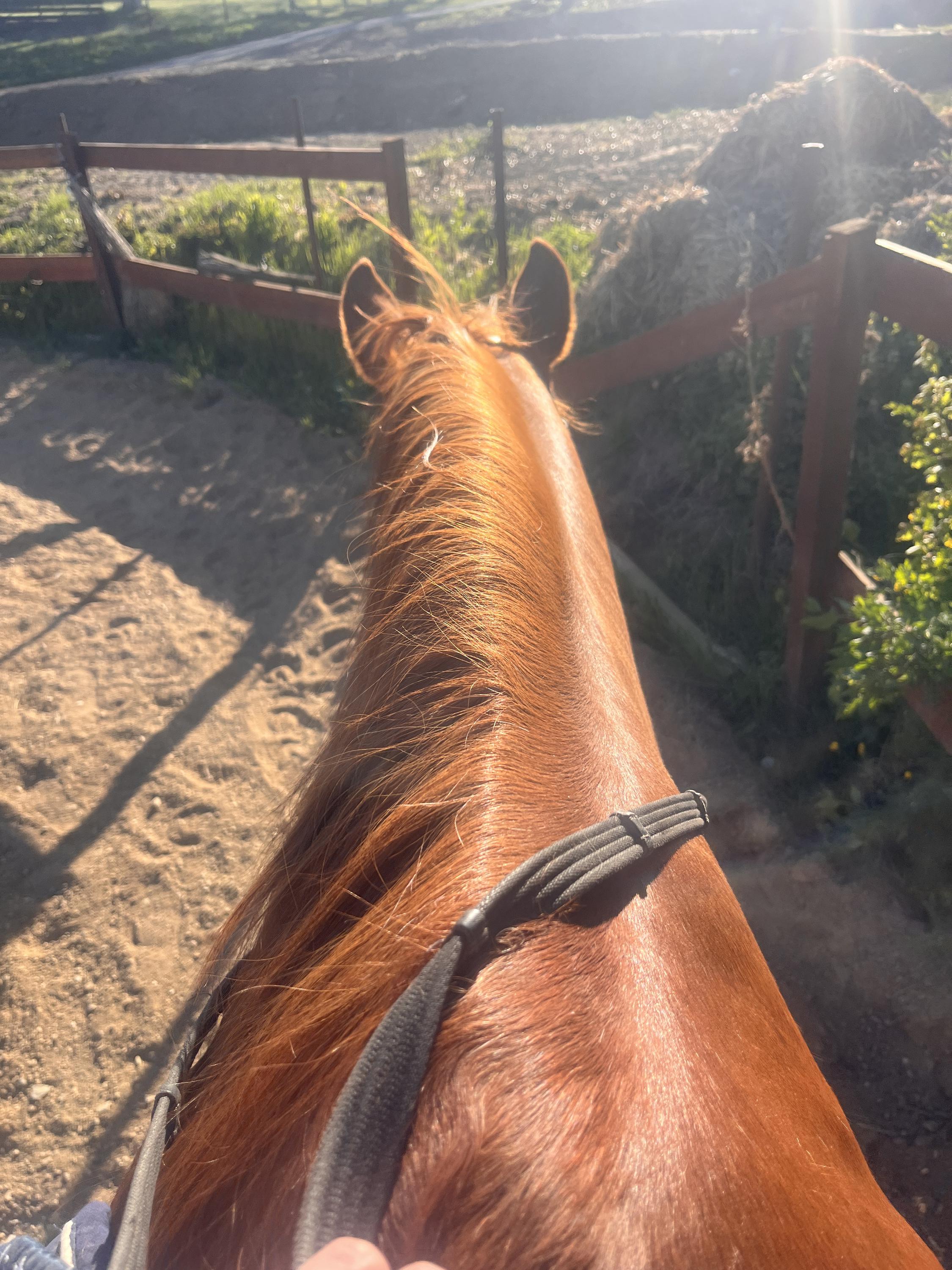M&S ranch foto 4