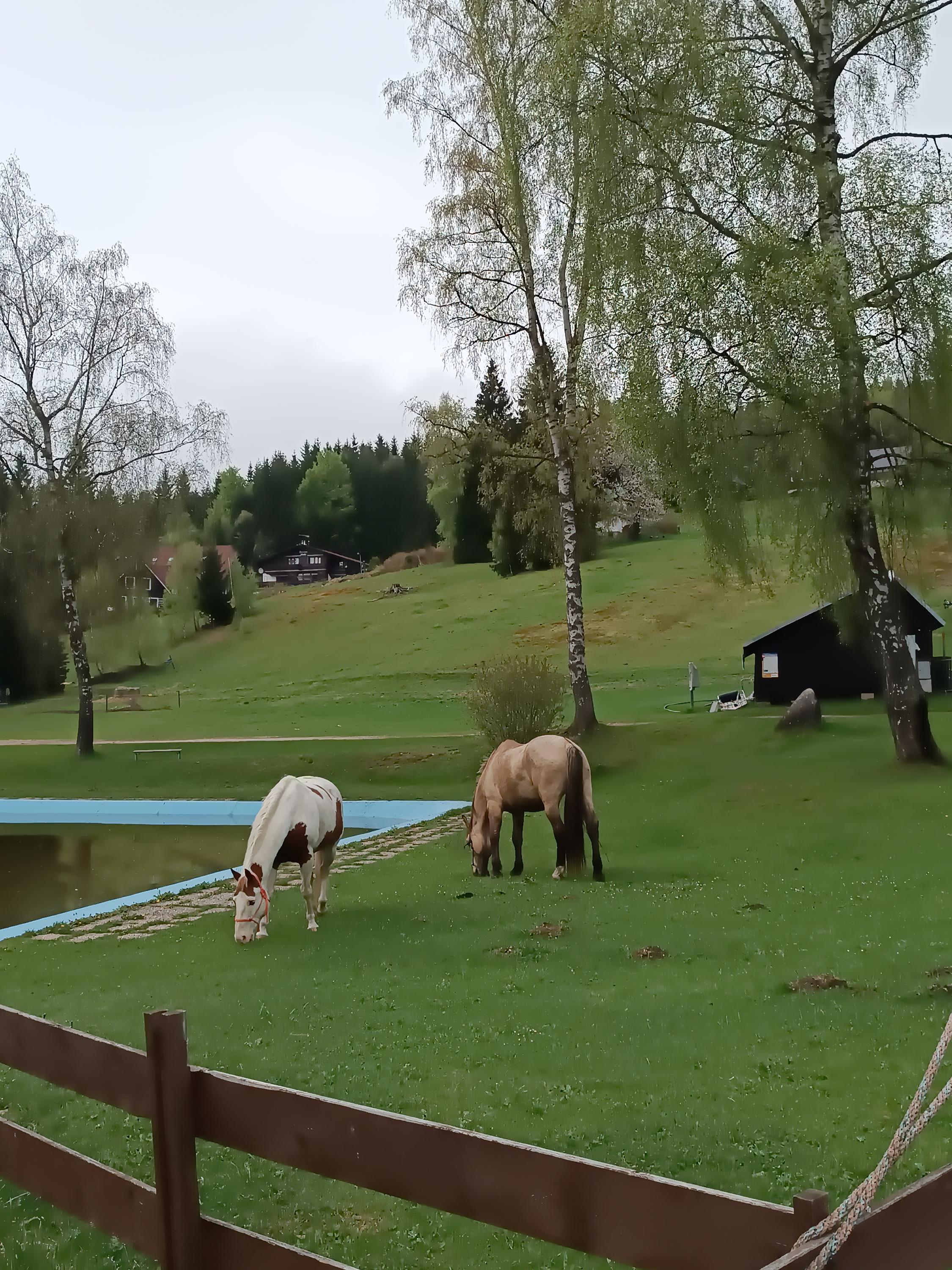 Koupaliště Zákoutí Harrachov foto 5