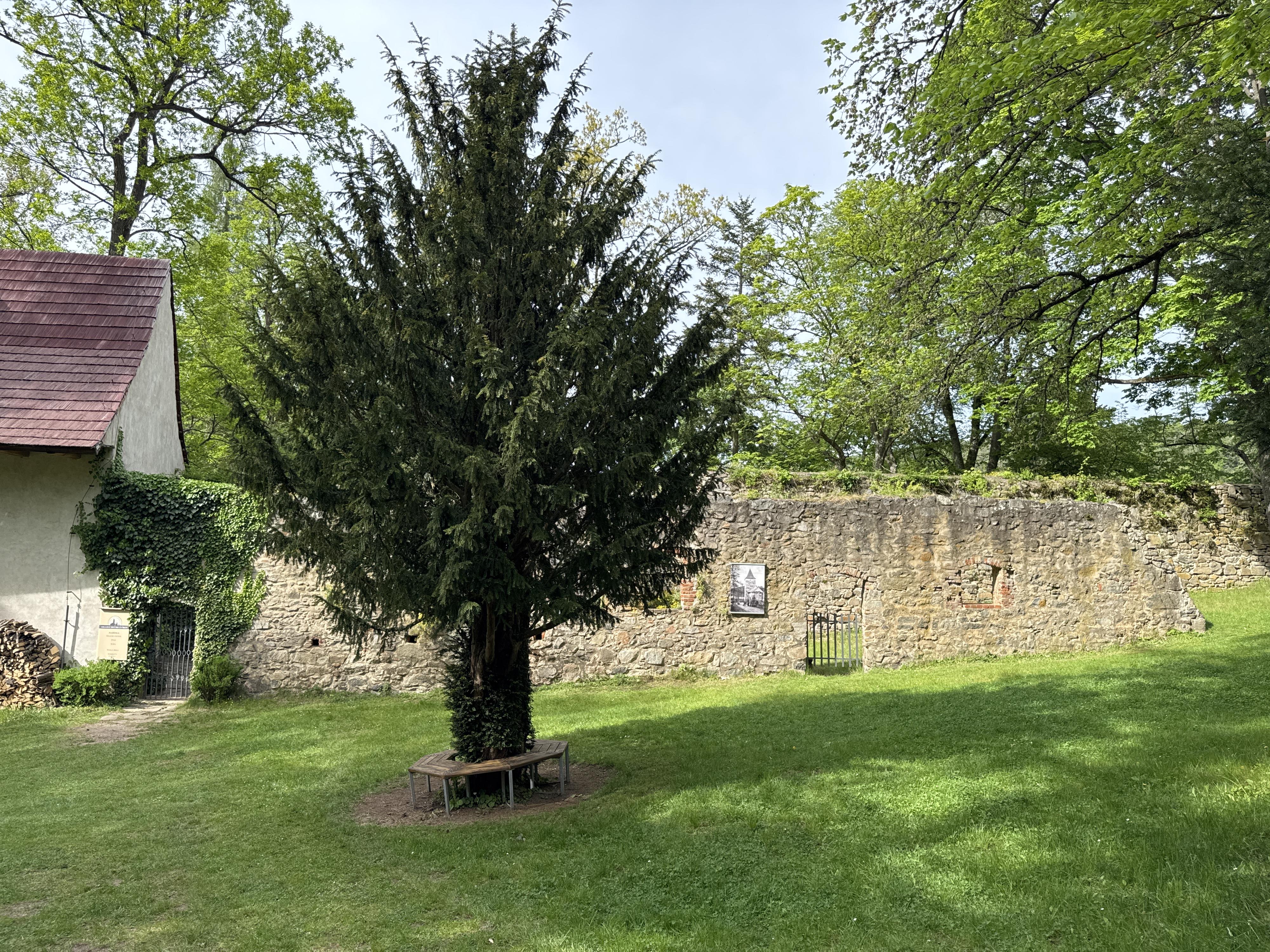 Bistro Podhradí foto 6