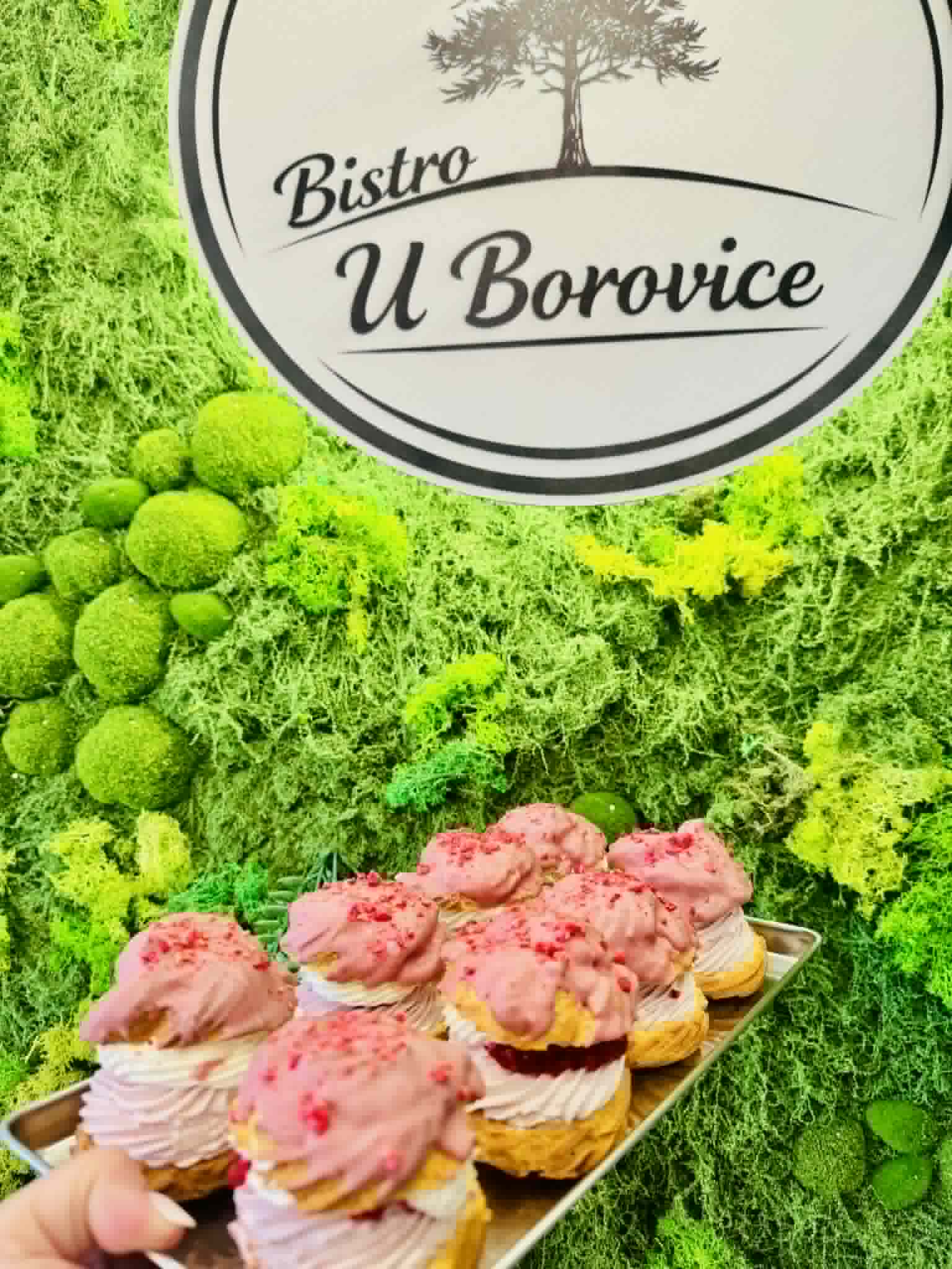 Bistro U BOROVICE foto 6