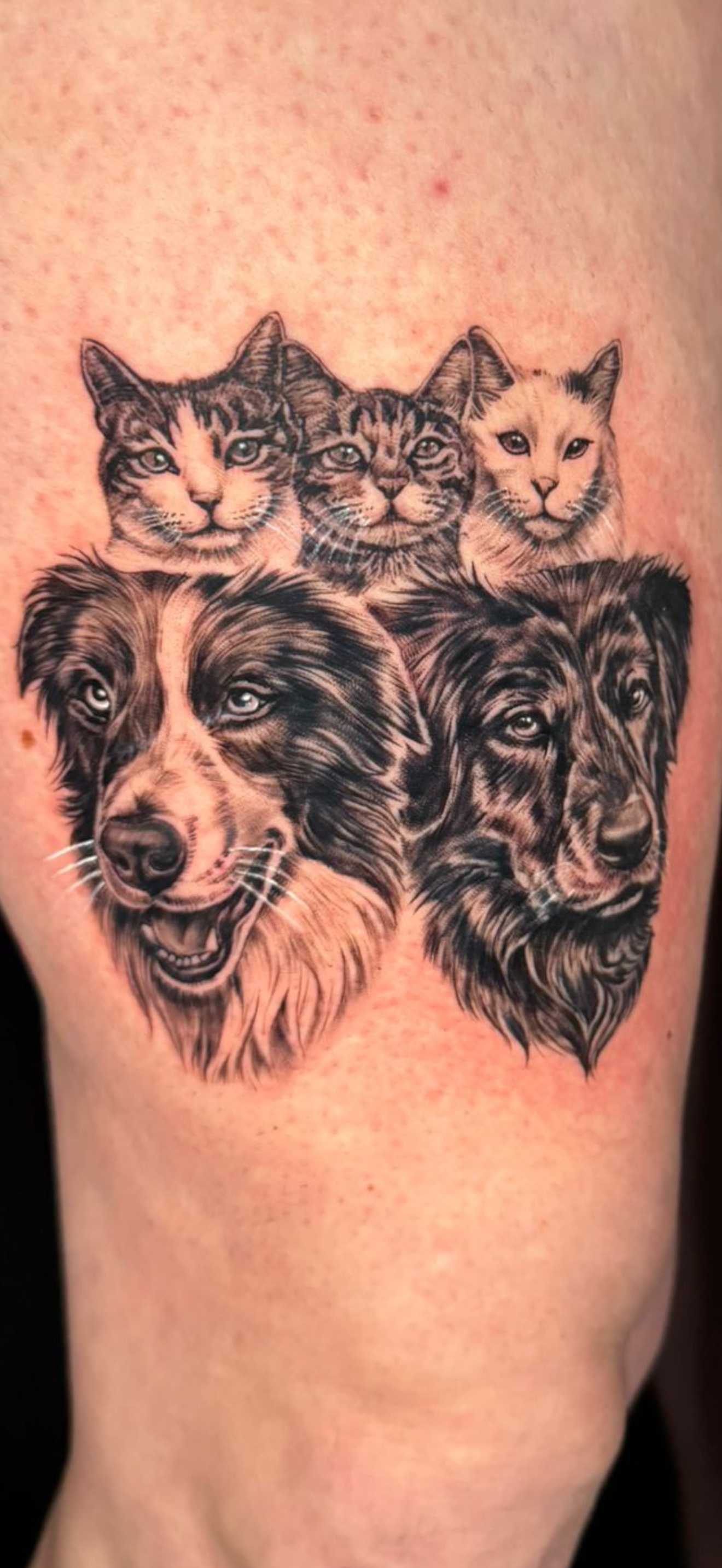 Beauty&Beast Tattoo foto 6