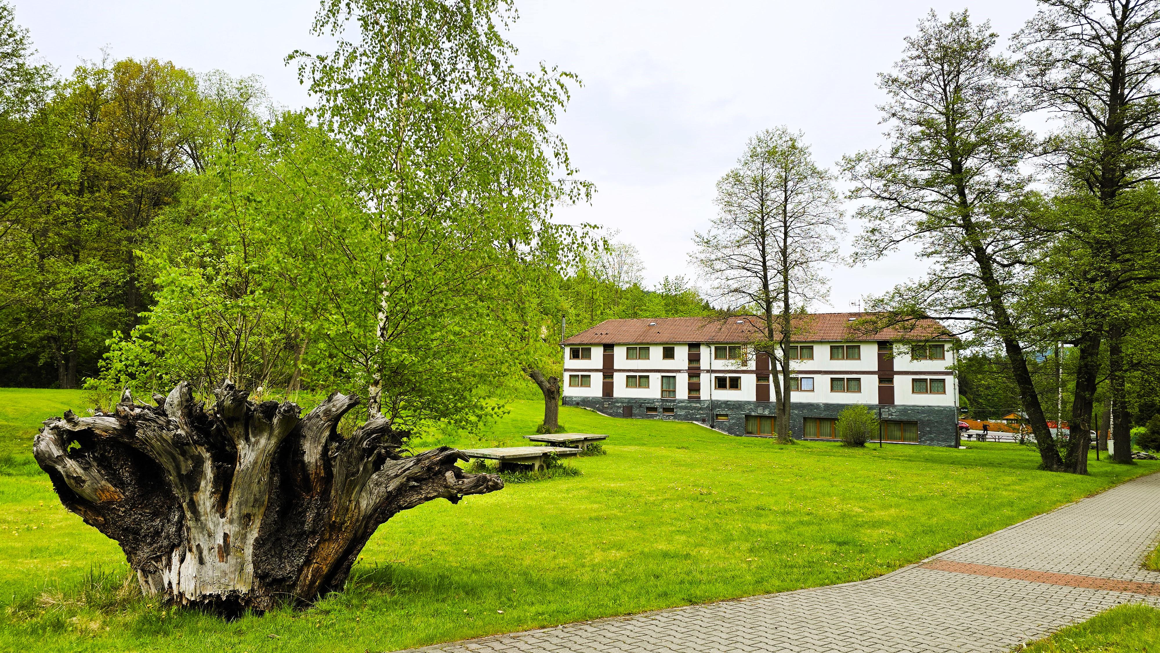 Hotel restaurant Koliba foto 2