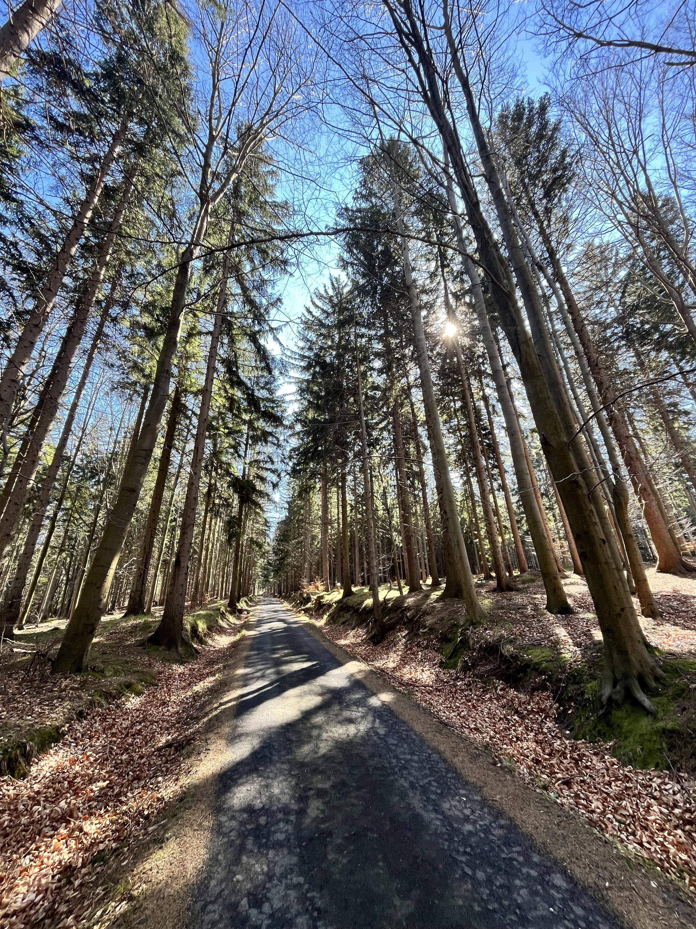 Občerstvení Hubertka foto 4