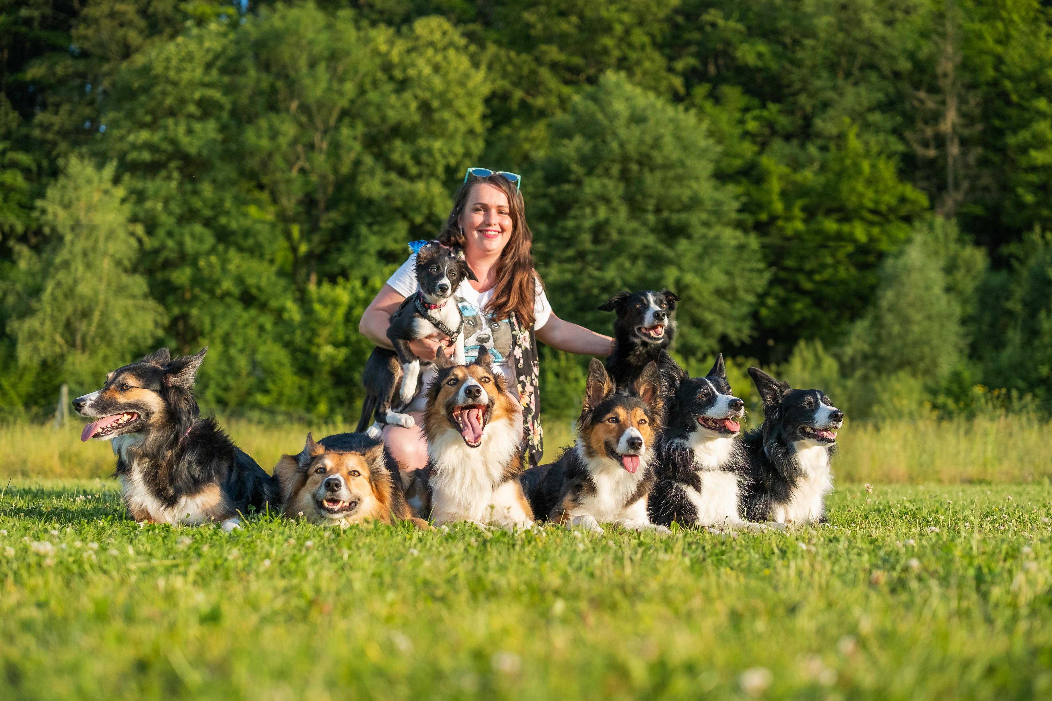 Valašagi – výcvik psů a agility