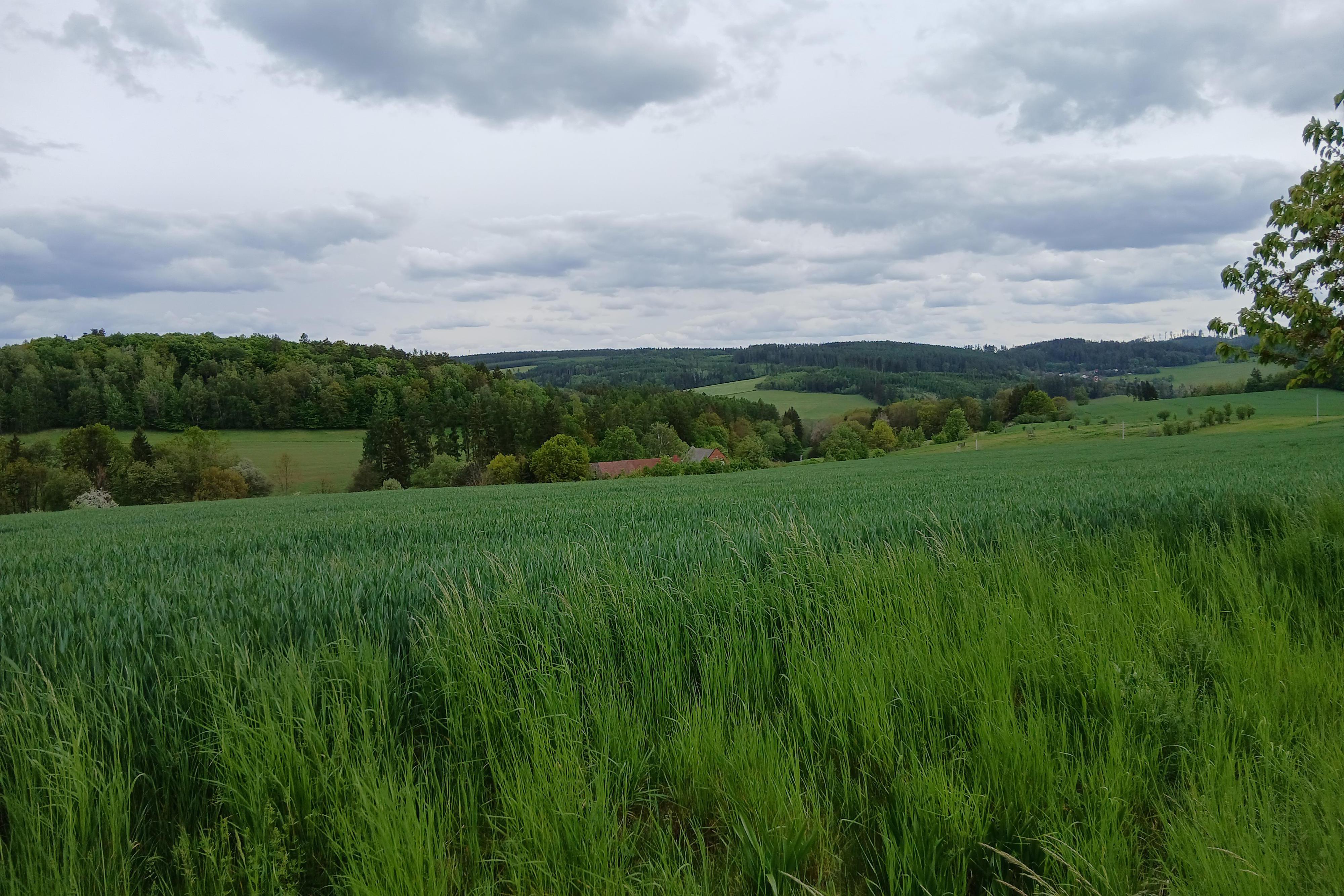 Statek Ve dvoře