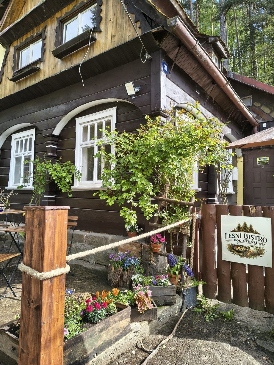 Lesní bistro Pod Stráží foto 4