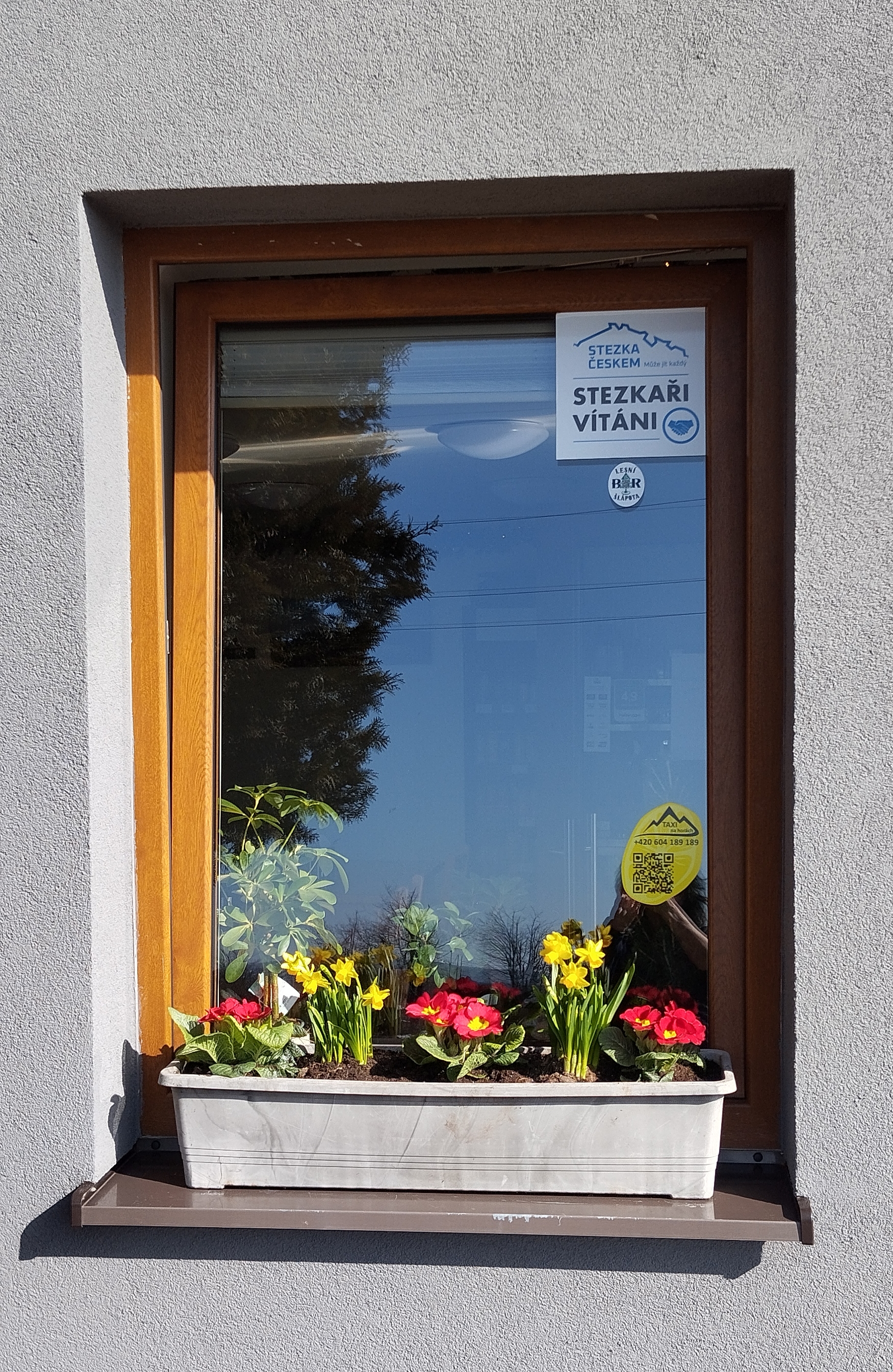 Bistro Zelňačka foto 2