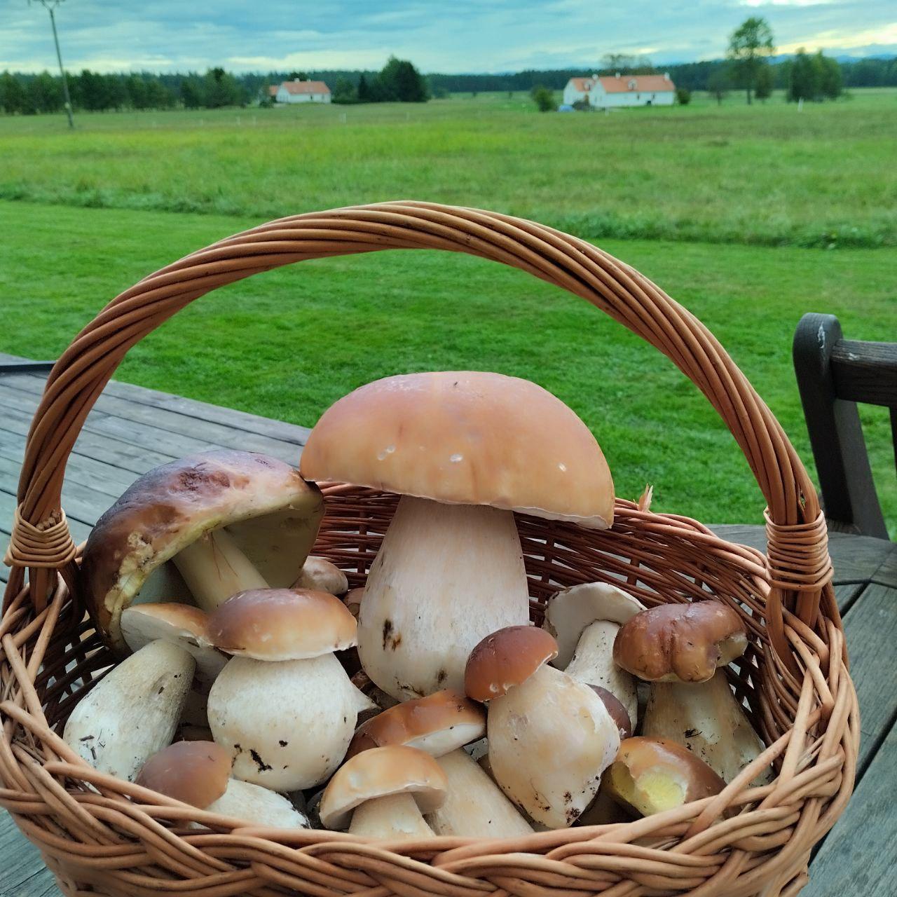 Statek Čtyřlístek foto 5