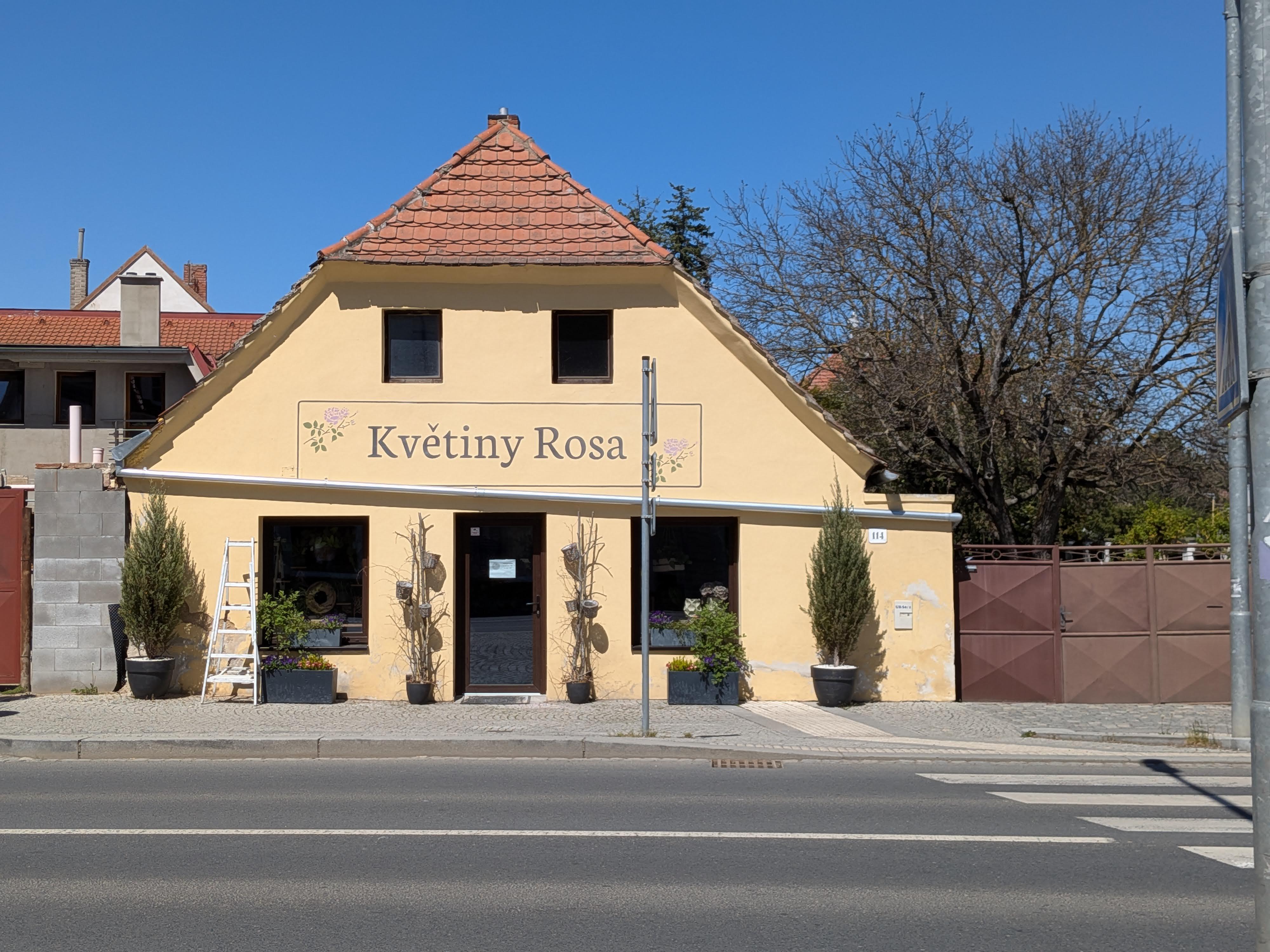 Květiny Rosa