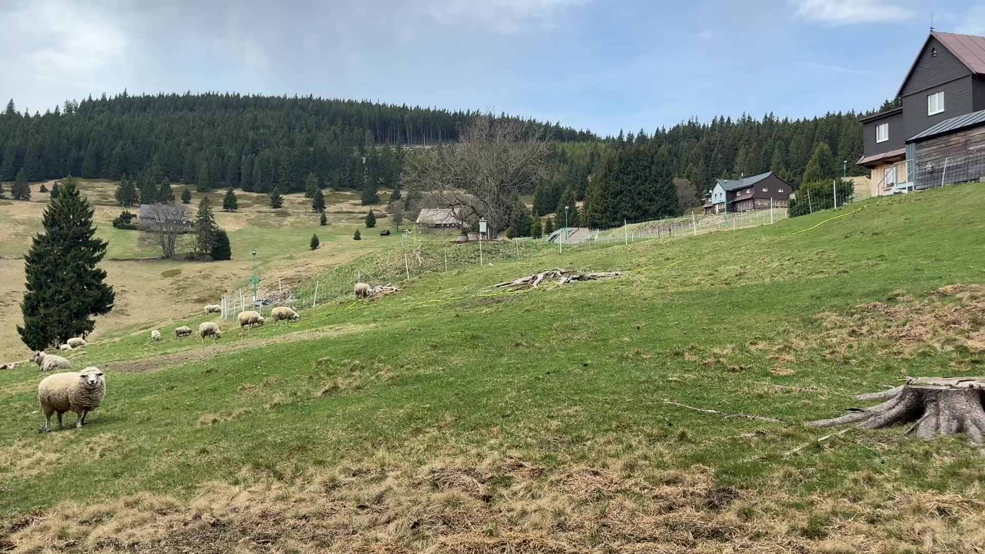 Penzion Bouda Grizzly foto 2 (náhled videa)