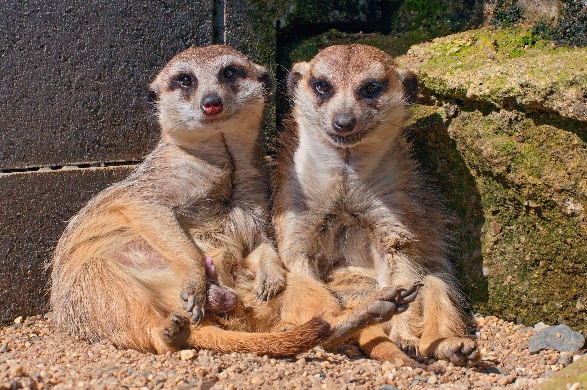 Zoopark Olovnice
