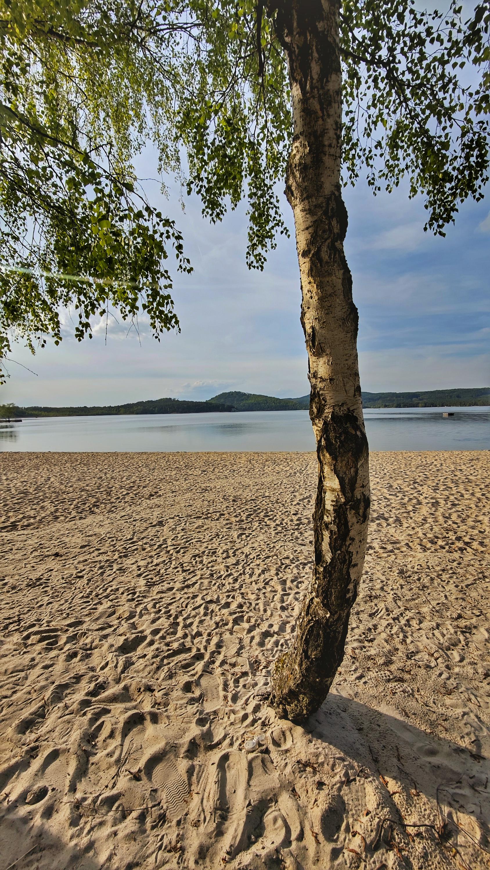 Pláže Máchovo jezero foto 3