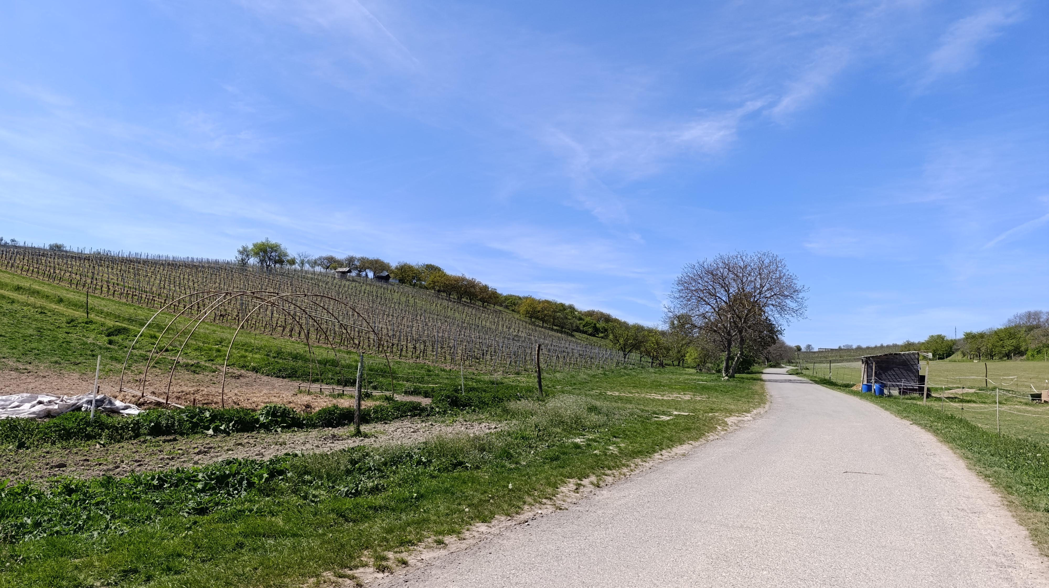 RANČ Velké Pavlovice foto 3