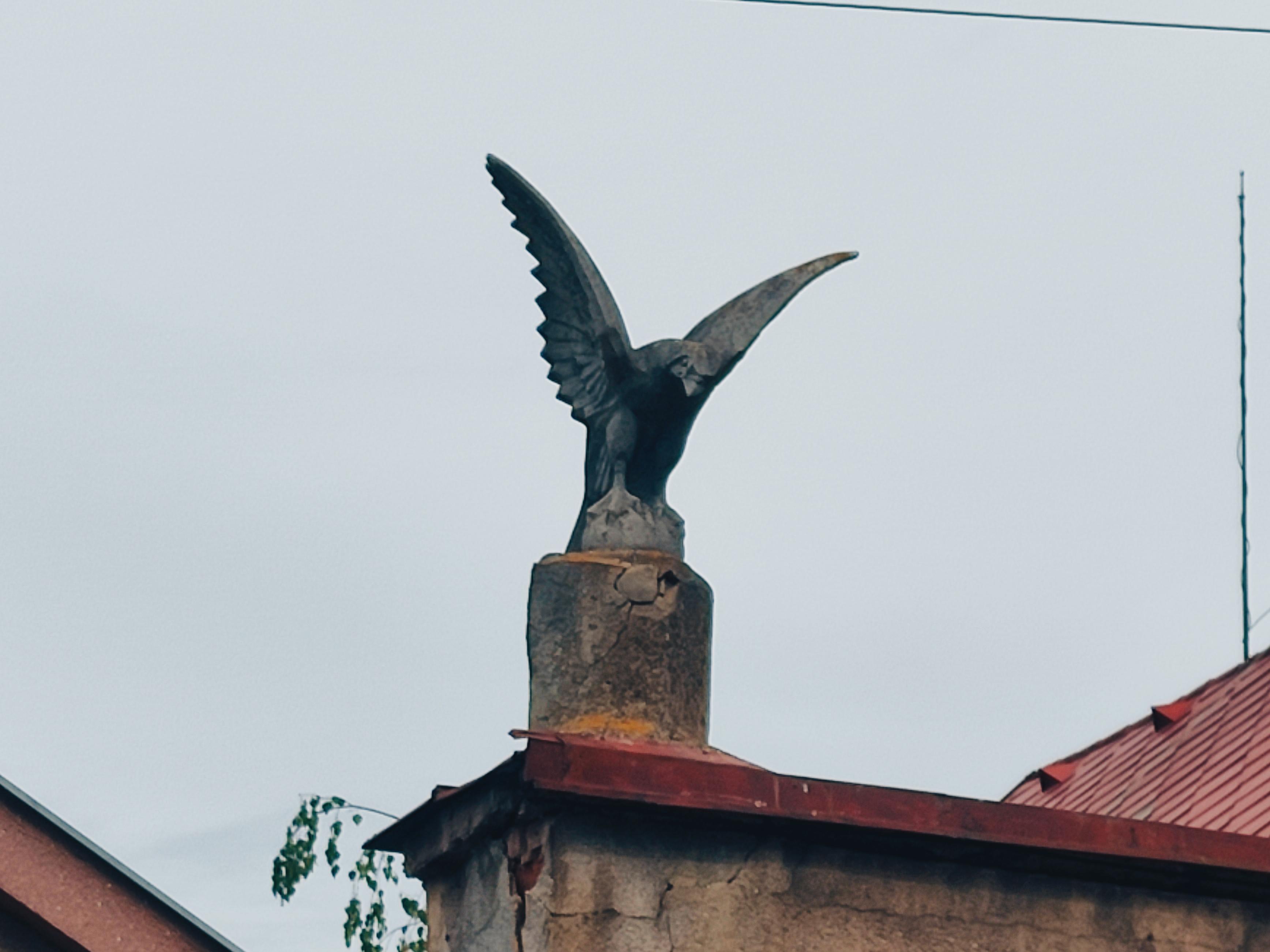 TJ Sokol Červený Hrádek foto 2