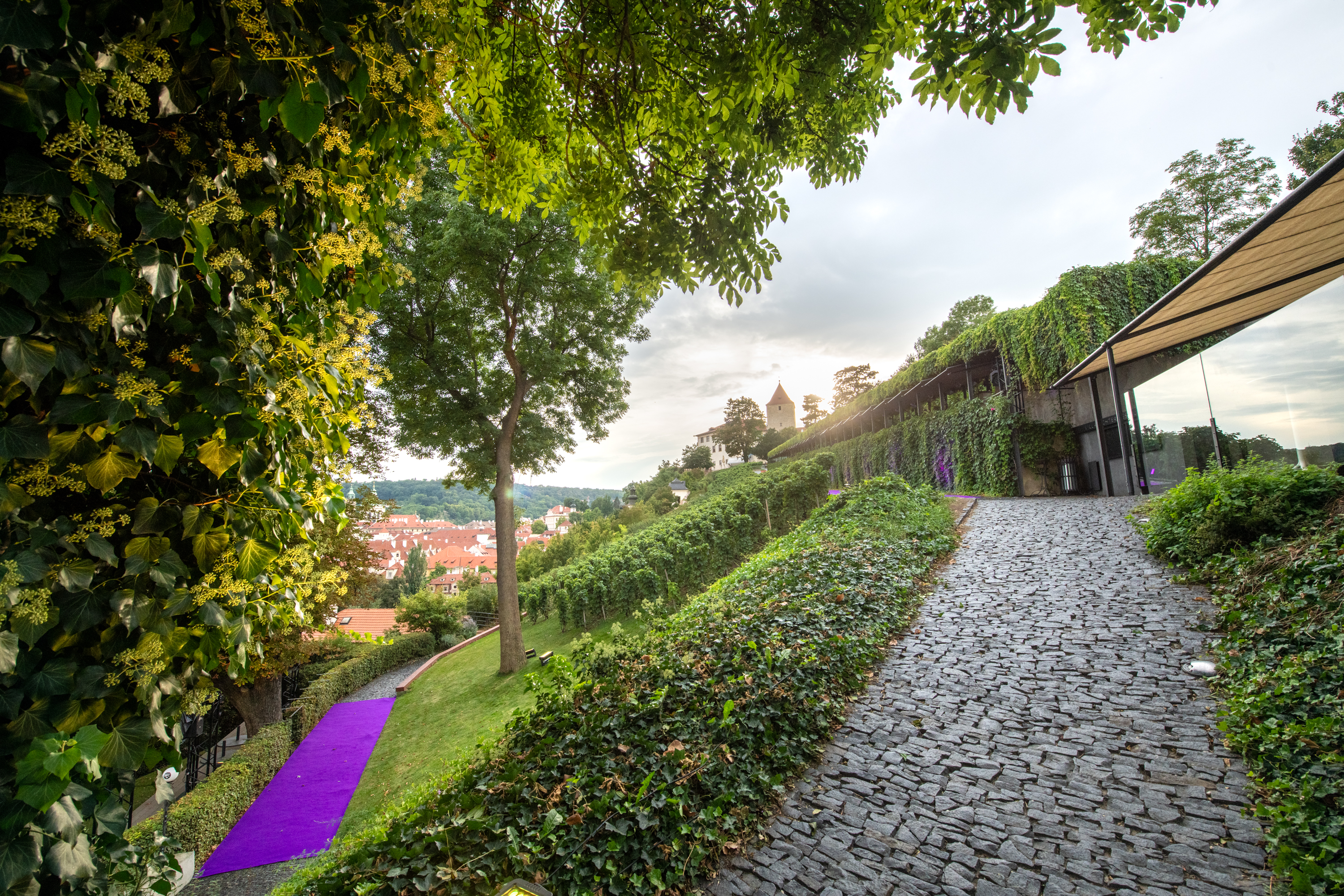 Villa Richter foto 4