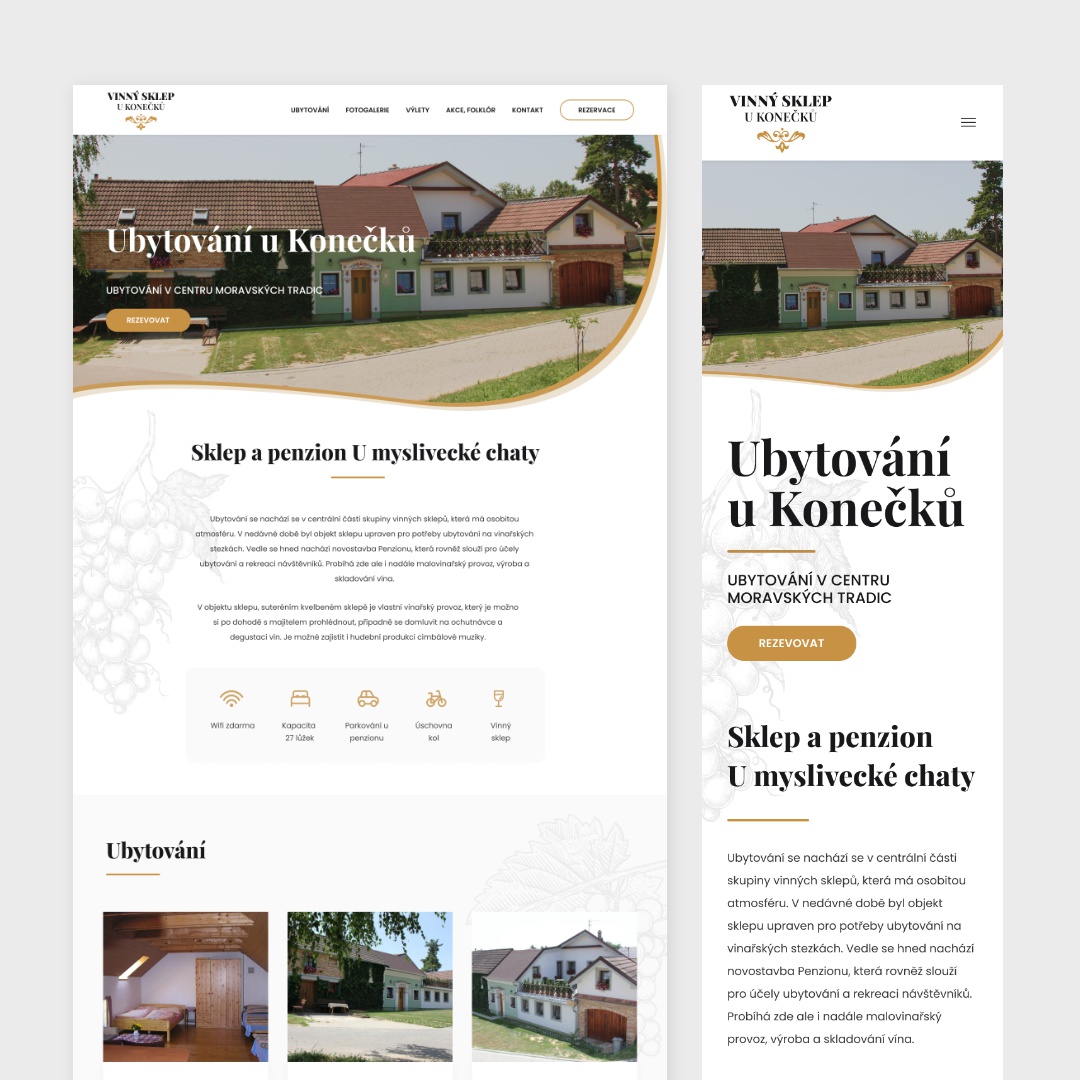 Rostislav Sedláček - Tvorba webu Hodonín foto 4