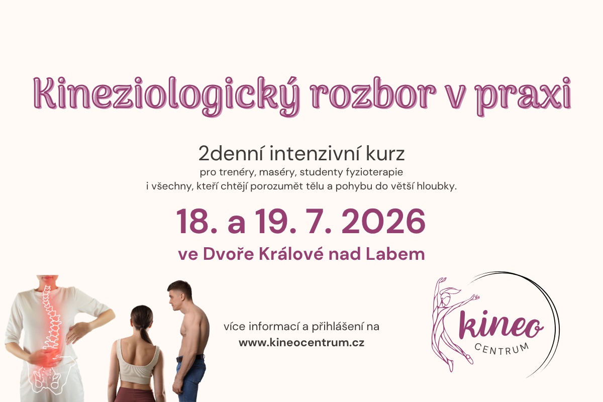 Kineziologický rozbor v praxi