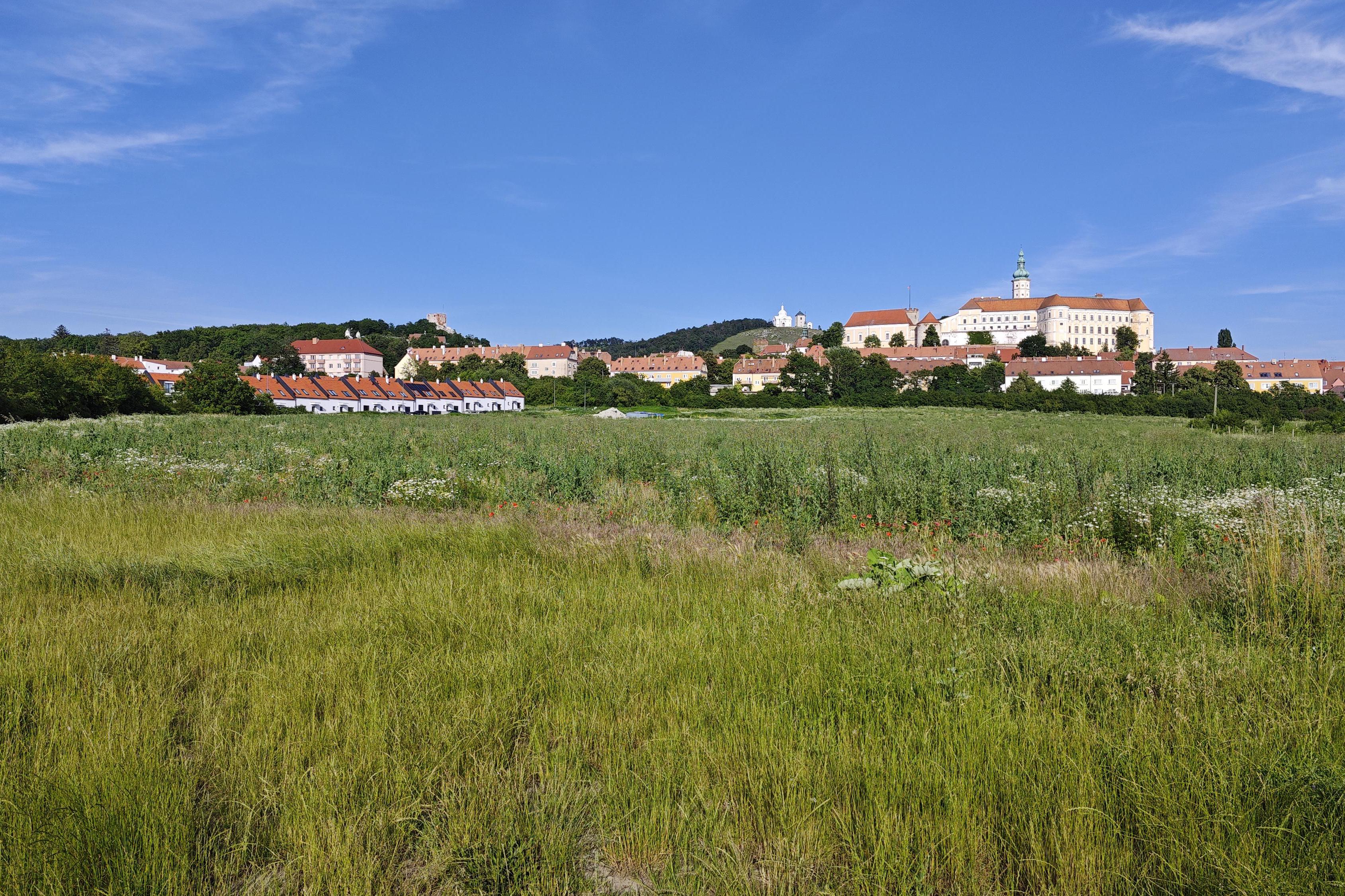 Pozemky pro bydlení, CP 783 m2, obec Mikulov