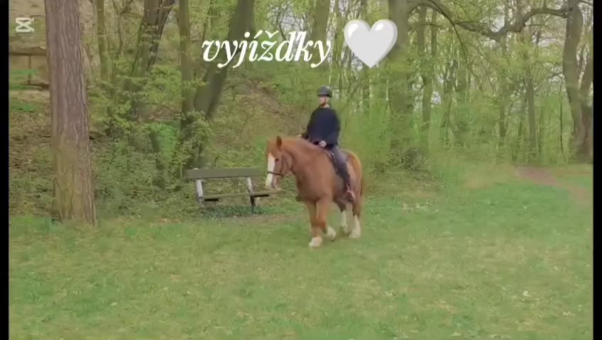 Kemp Ranč pod Skálou Třebívlice, z.s. foto 2 (náhled videa)