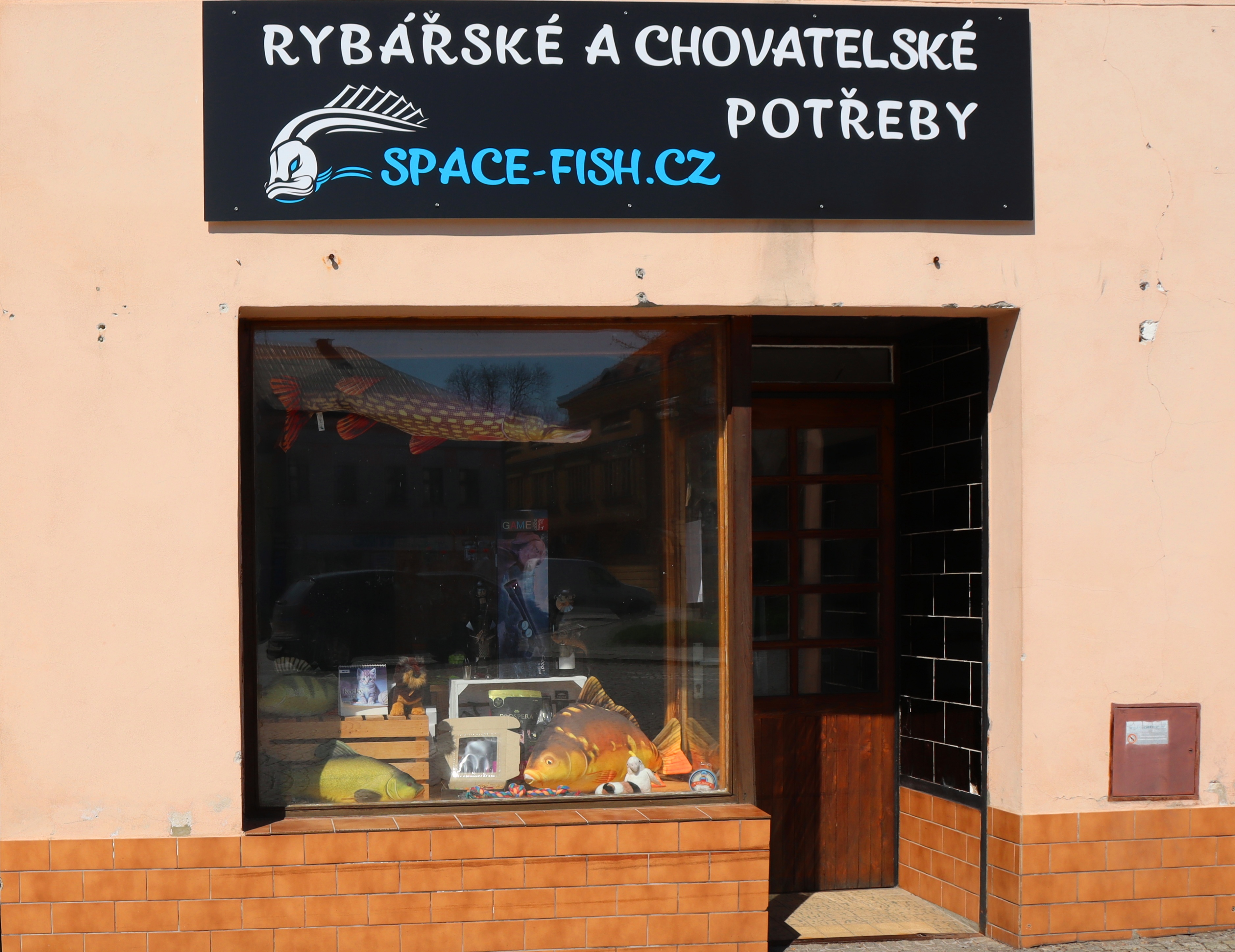 Space-fish.cz foto 2