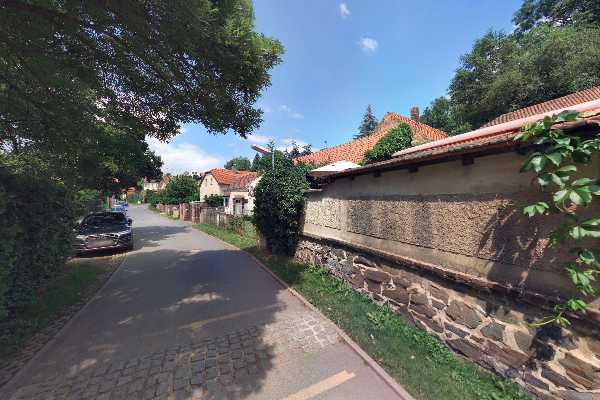 Květiny Vanda Hamza foto 2