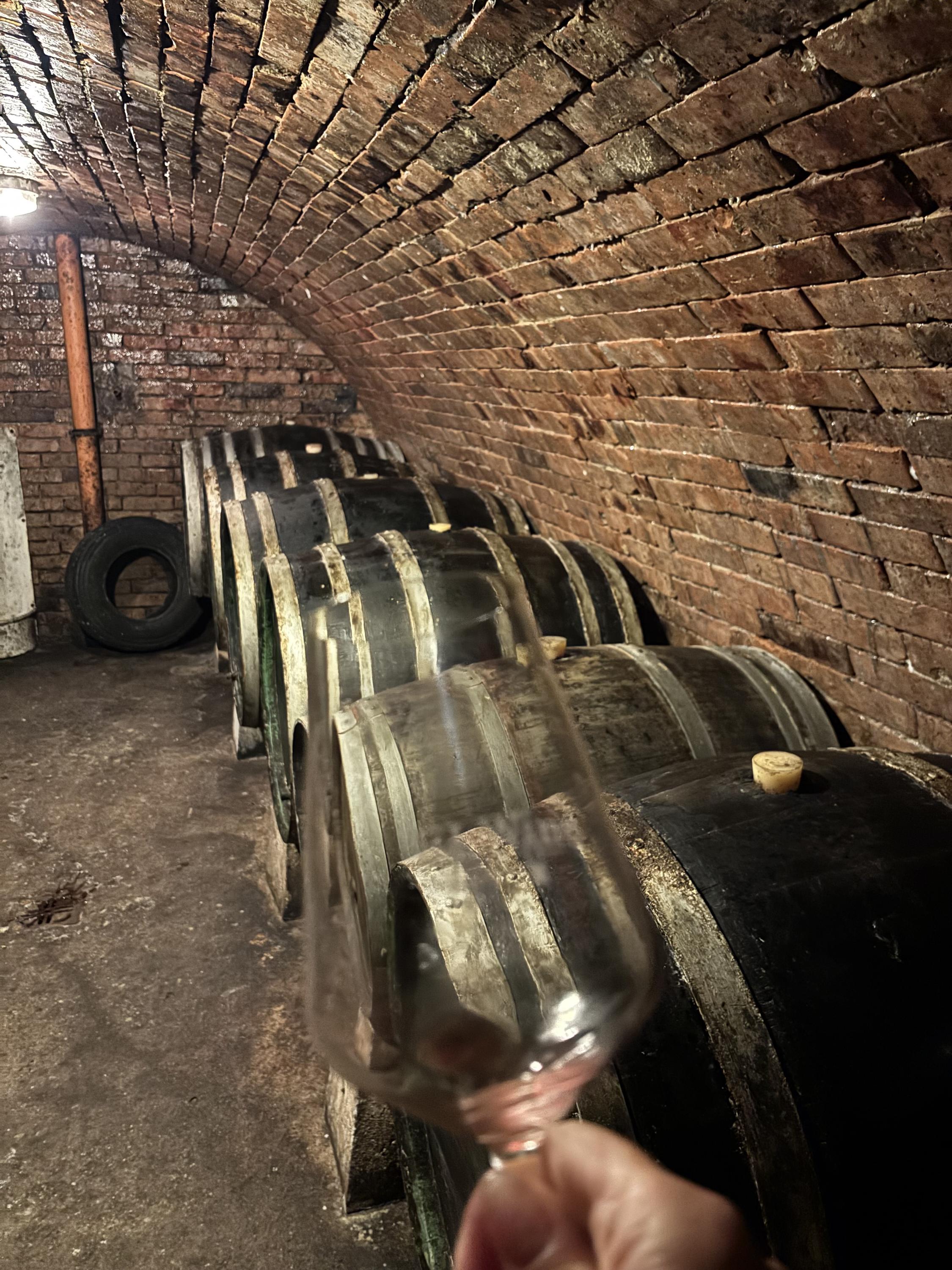 Vinařství ELWINE Velké Bílovice s.r.o. foto 6