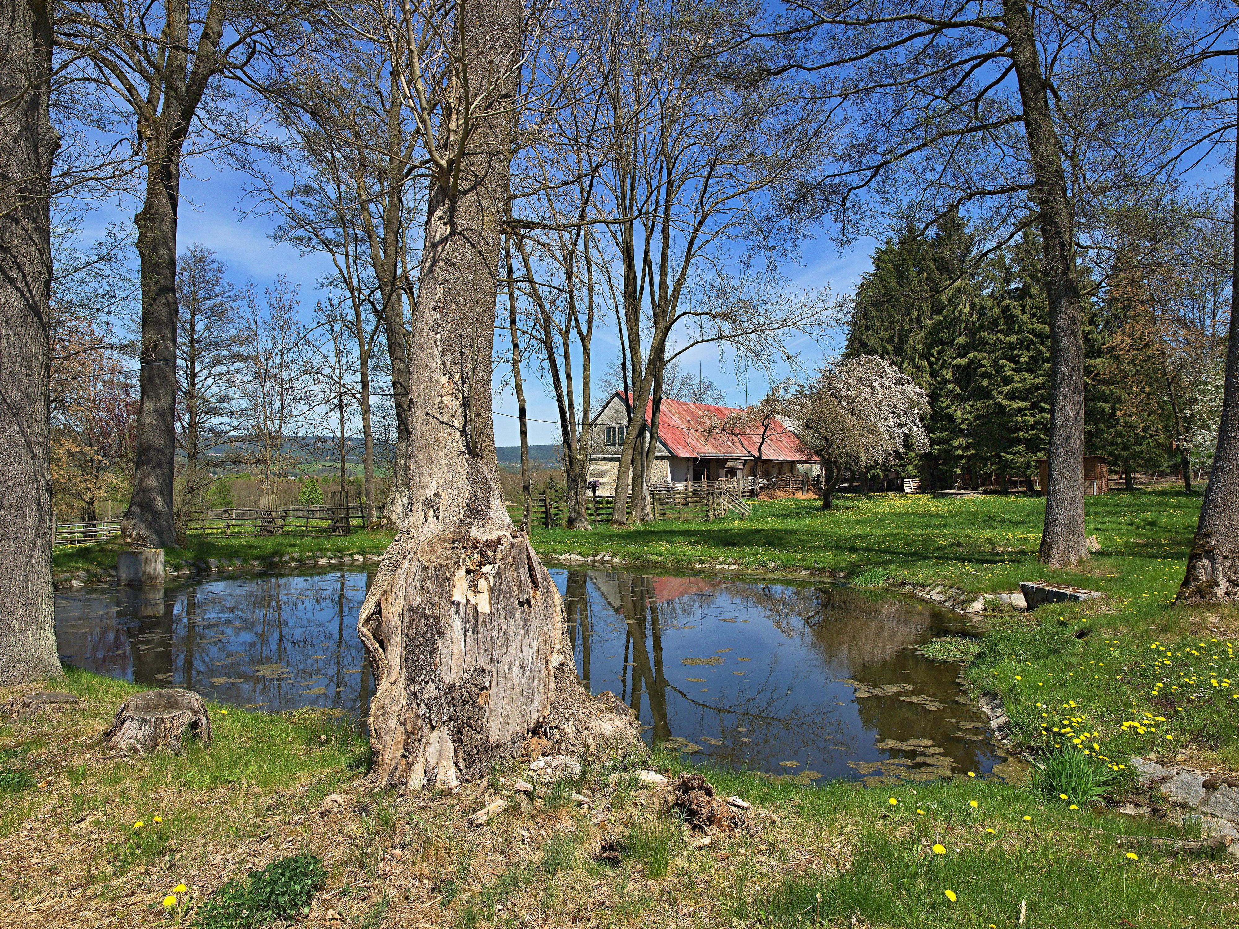 Farma Hutě s.r.o. foto 4