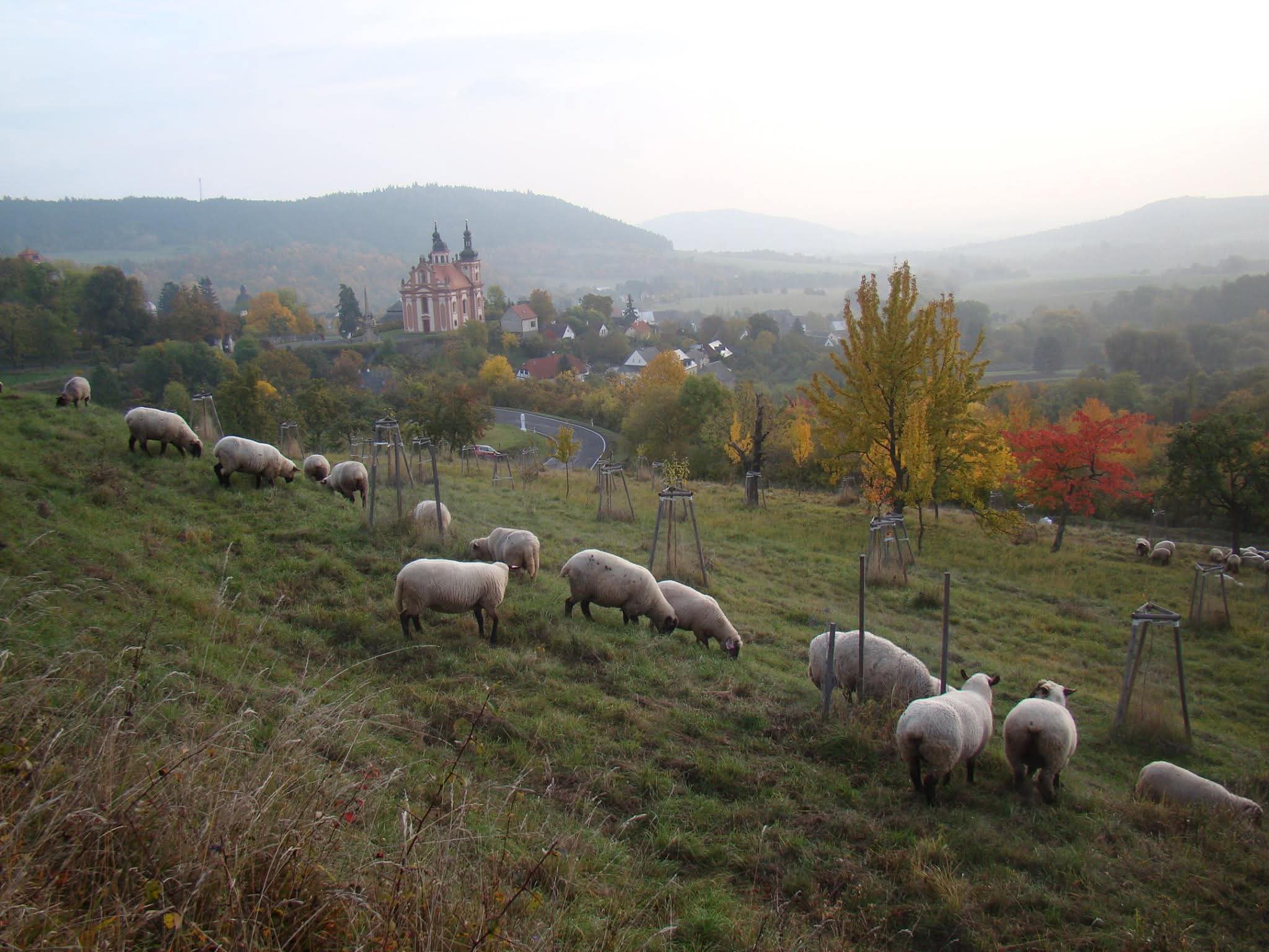 Farma Valeč, s.r.o. foto 2